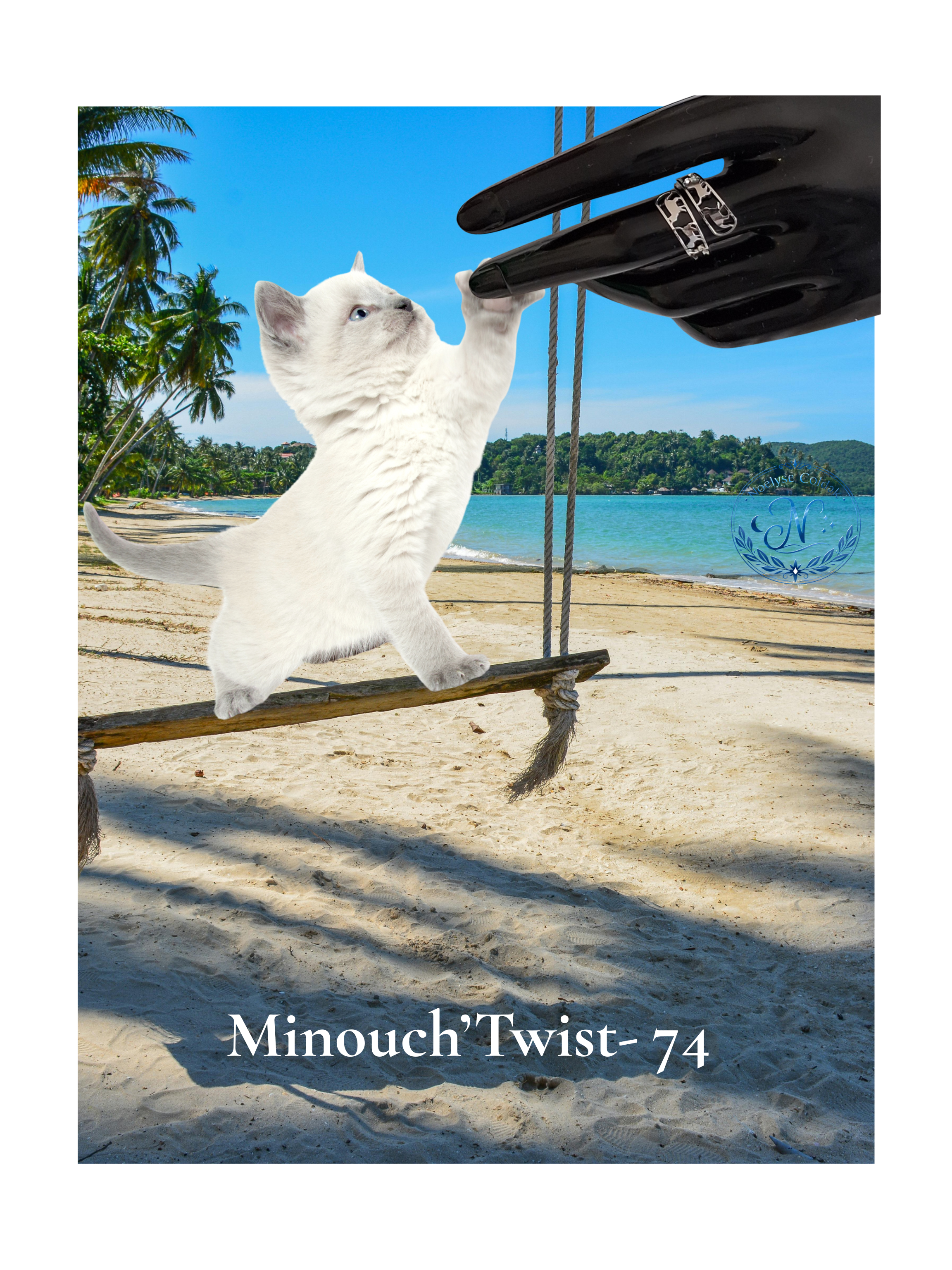 art74-fd plage balancoire et burmese (1).png