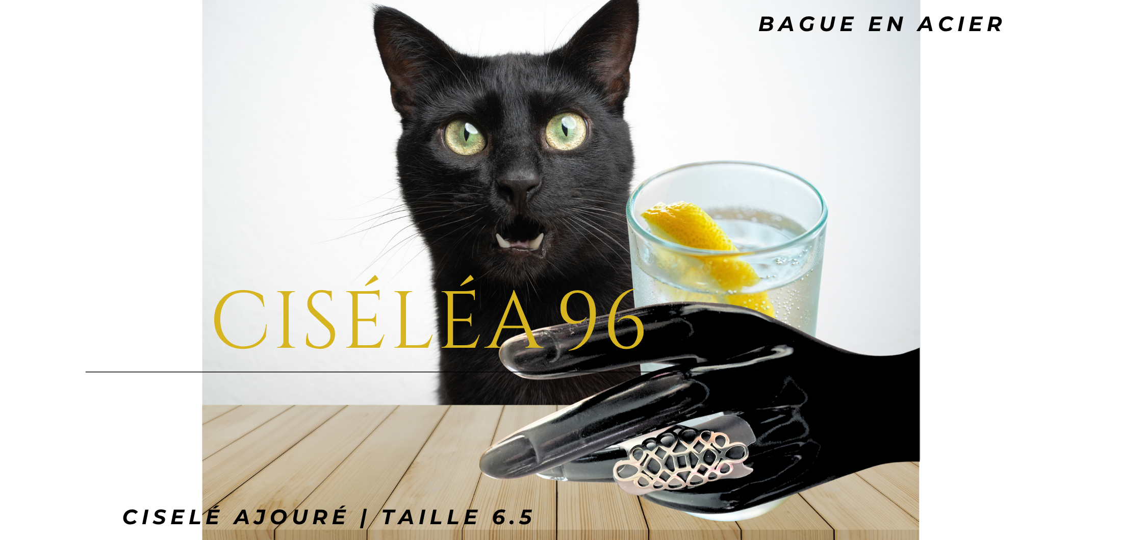 art 96-chat noir étonné titre  Taille 6.5.png