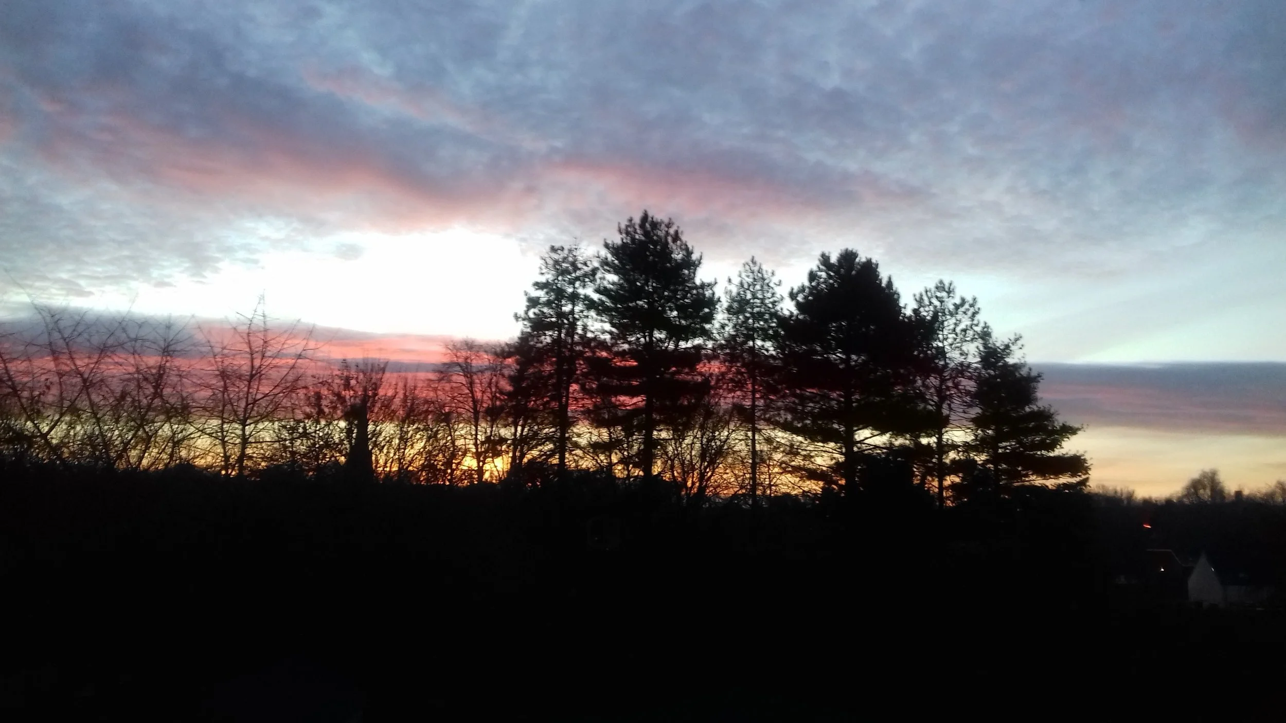 Ciel au coucher du soleil avec nuages colorés et silhouettes d'arbres.