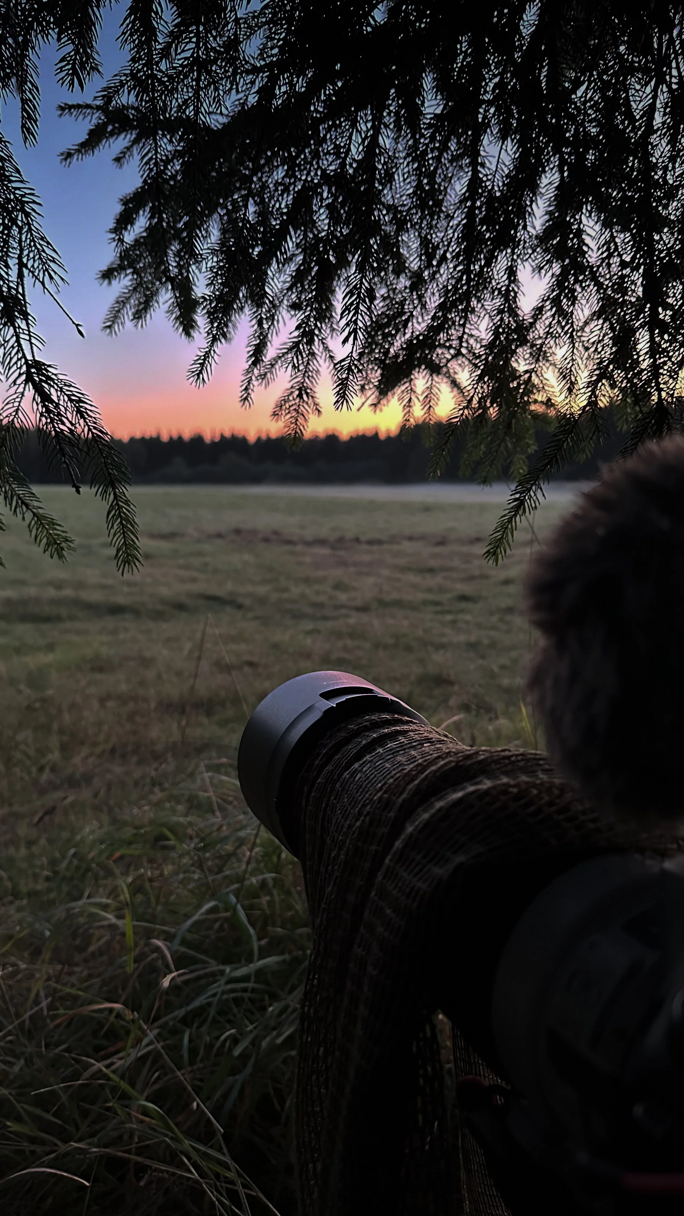 Ansitz oder Pirschen? Welche Methode eignet sich besser für die Wildtierfotografie?