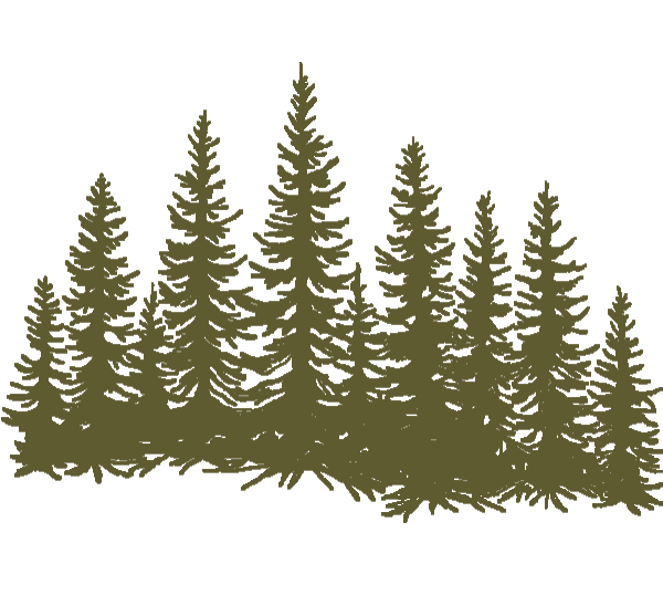 Baum-Silhouette eines Waldes mit Nadelbäumen