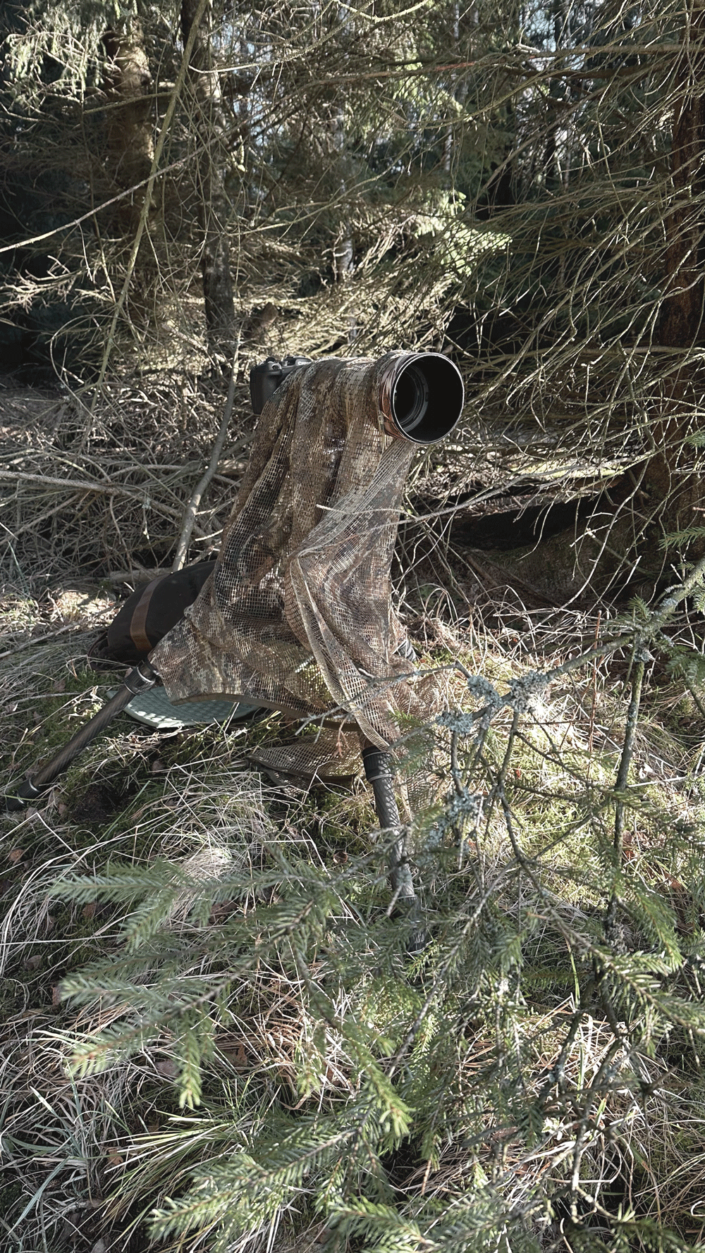 Tarnung in der Tierfotografie – Kleidung &amp; Ausrüstung für die Wildtierfotografie im Erzgebirge