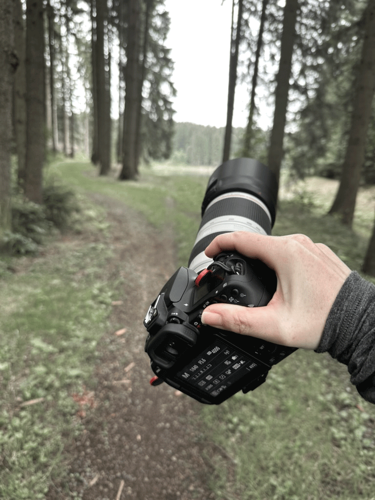 Kameraeinstellungen für Tierfotografie – meine besten Foto-Tipps für scharfe Wildtierfotos