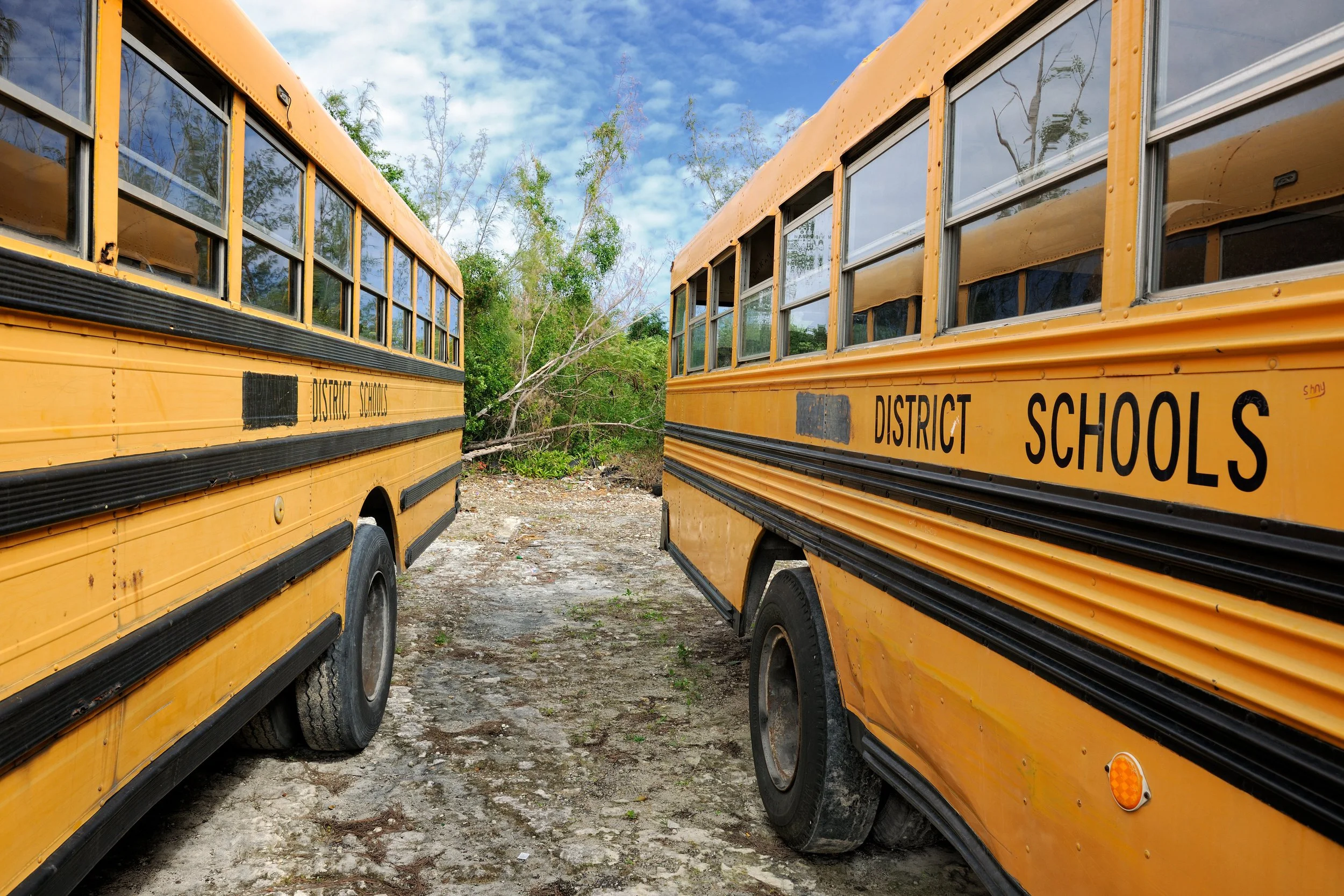 Two yellow school buses parked face to face on rough, gravelly ground with trees and a cloudy sky in the background.
