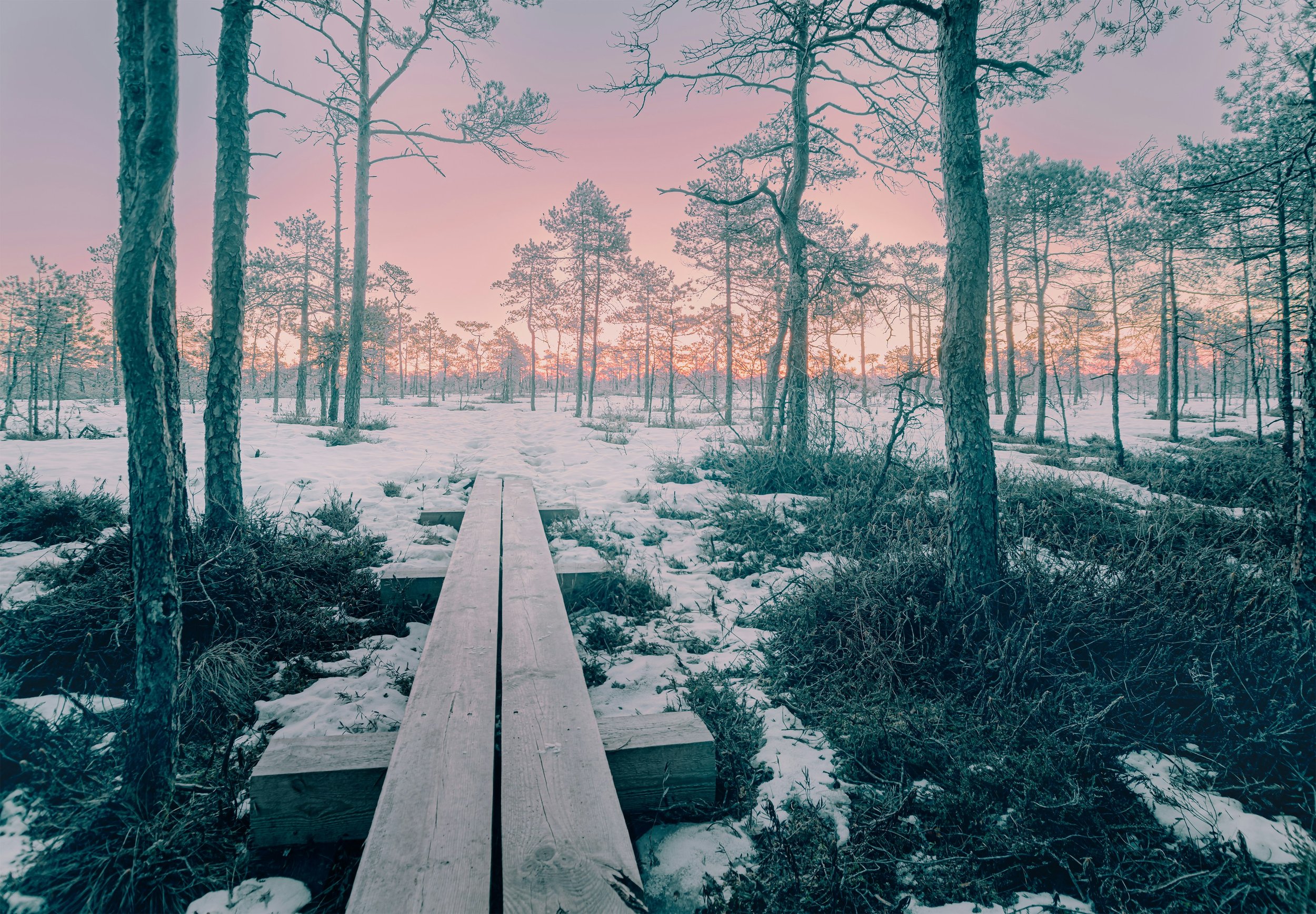 CALLUNA rabamatk kevad-sügisel - Majakivi-Pikknõmme õpperada. 
Ka kevad-sügisel sobilik matkarada raba vaatetorni juurde, kogu matkapikkus edasi-tagasi on 7 km. Selle rahuliku päevamatka koos tee pausiga peaksid planeerima umbes 4h pikkuseks. Vaateto