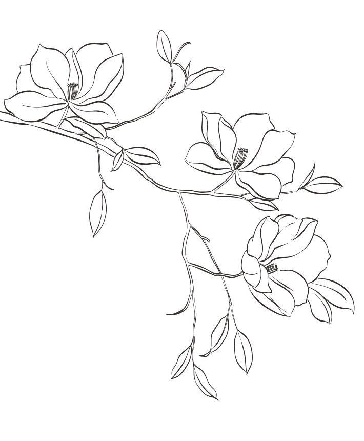 Outline drawing of a branch with flowers and leaves on a black background.