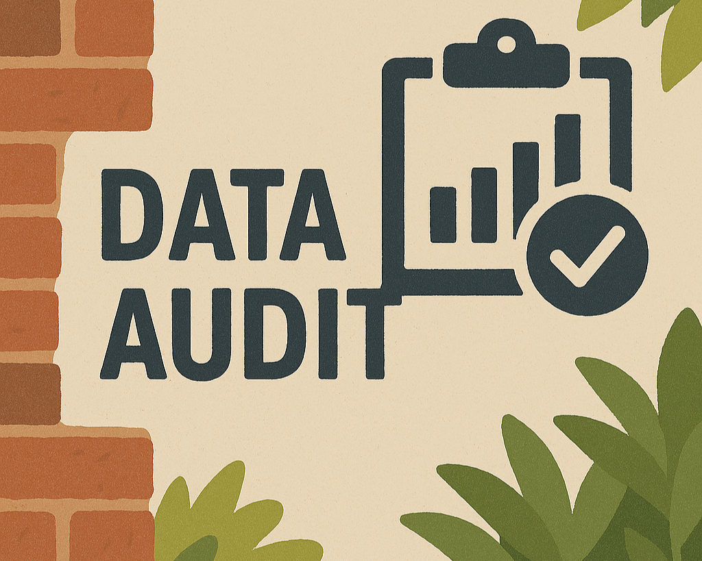 Data Audit: Clarity Before Action