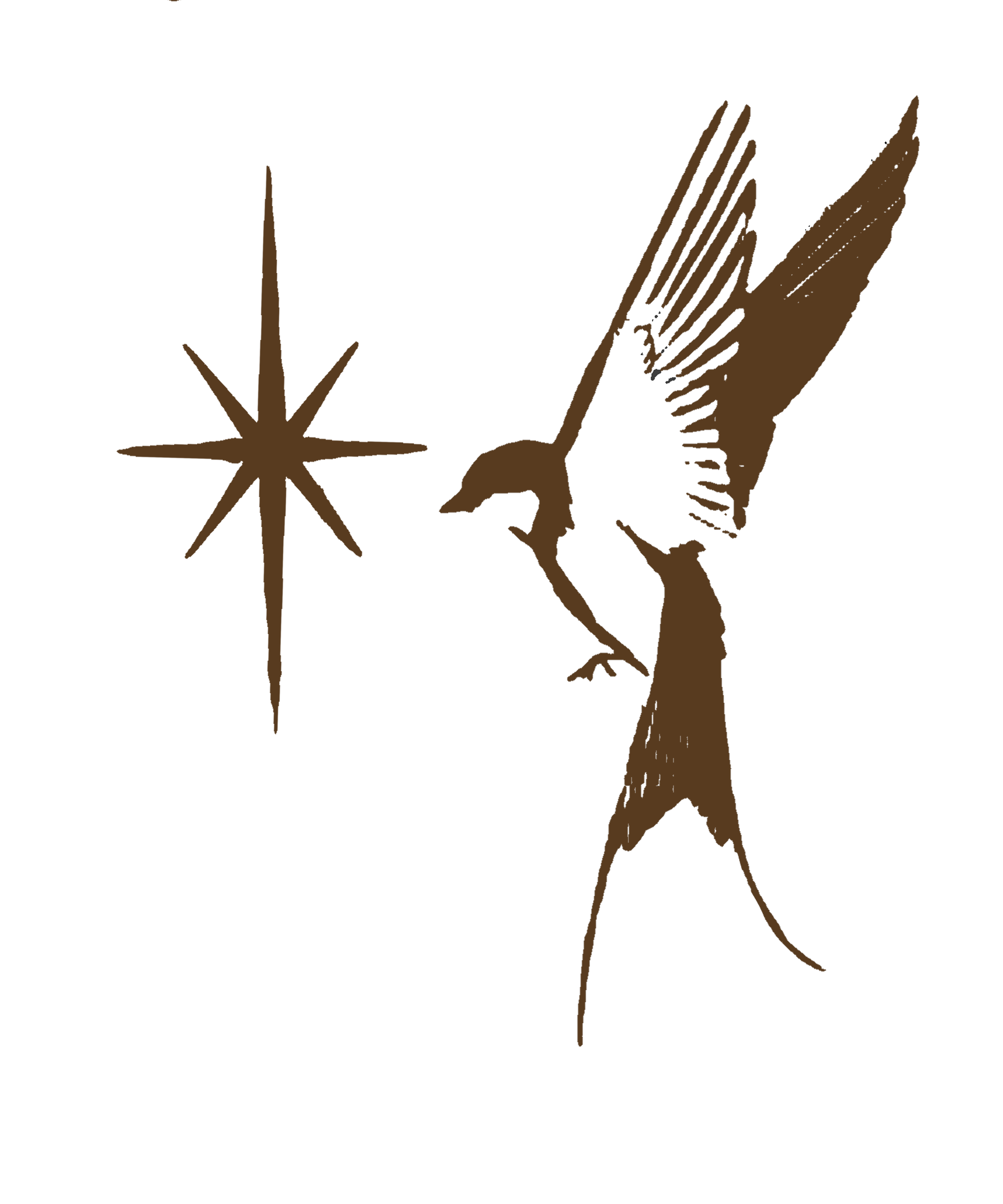 A brown bird flying towards a star-shaped object with a tail, all illustrated in a simplistic, minimalist style.