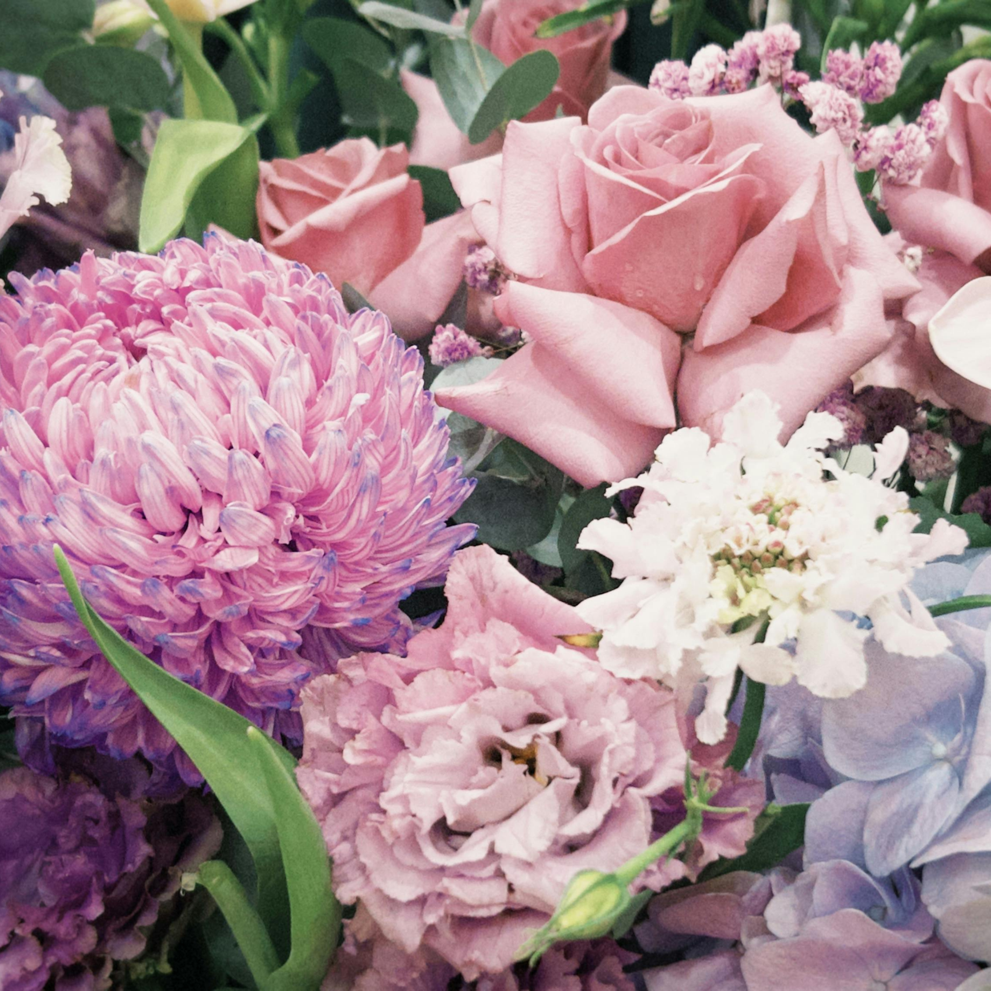 Client receiving personalized color palette consultation for a spring wardrobe 