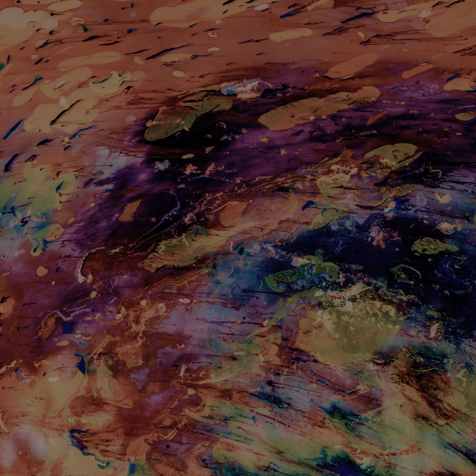 Courtney can help you find your best colors 