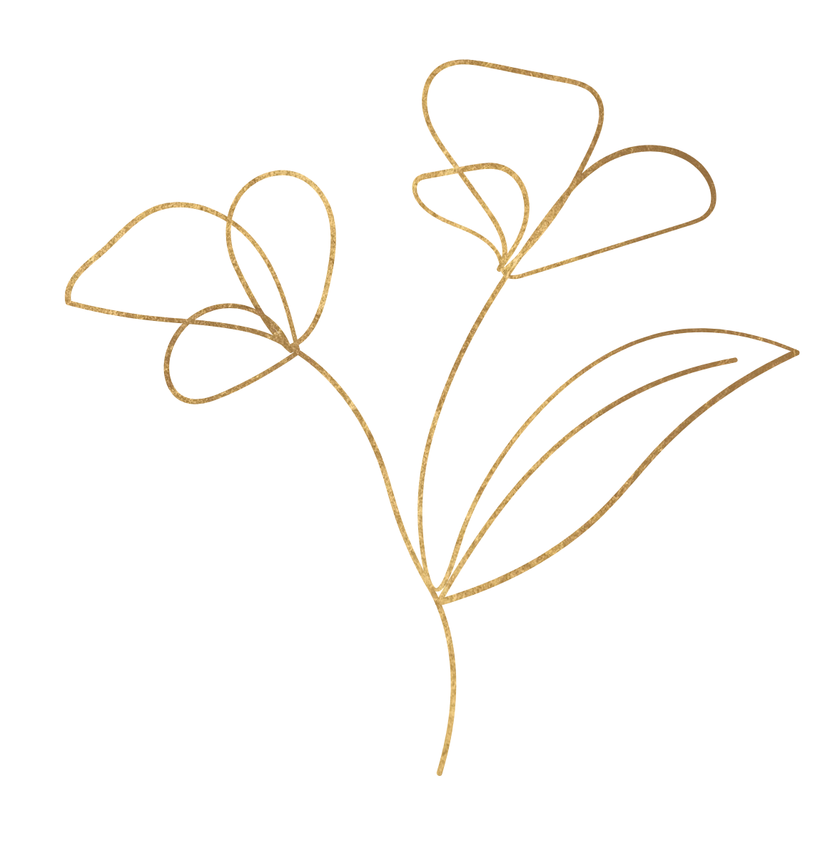 Outline of a stylized flower with purple petals and a brown stem.