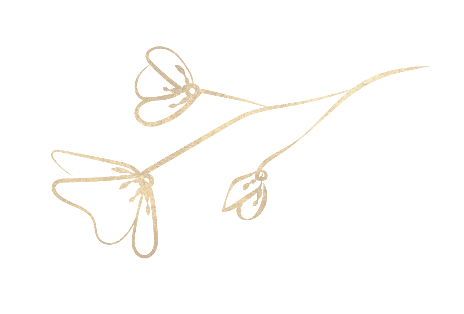 Close-up of a textured, gold-colored surface resembling metallic or painted material.