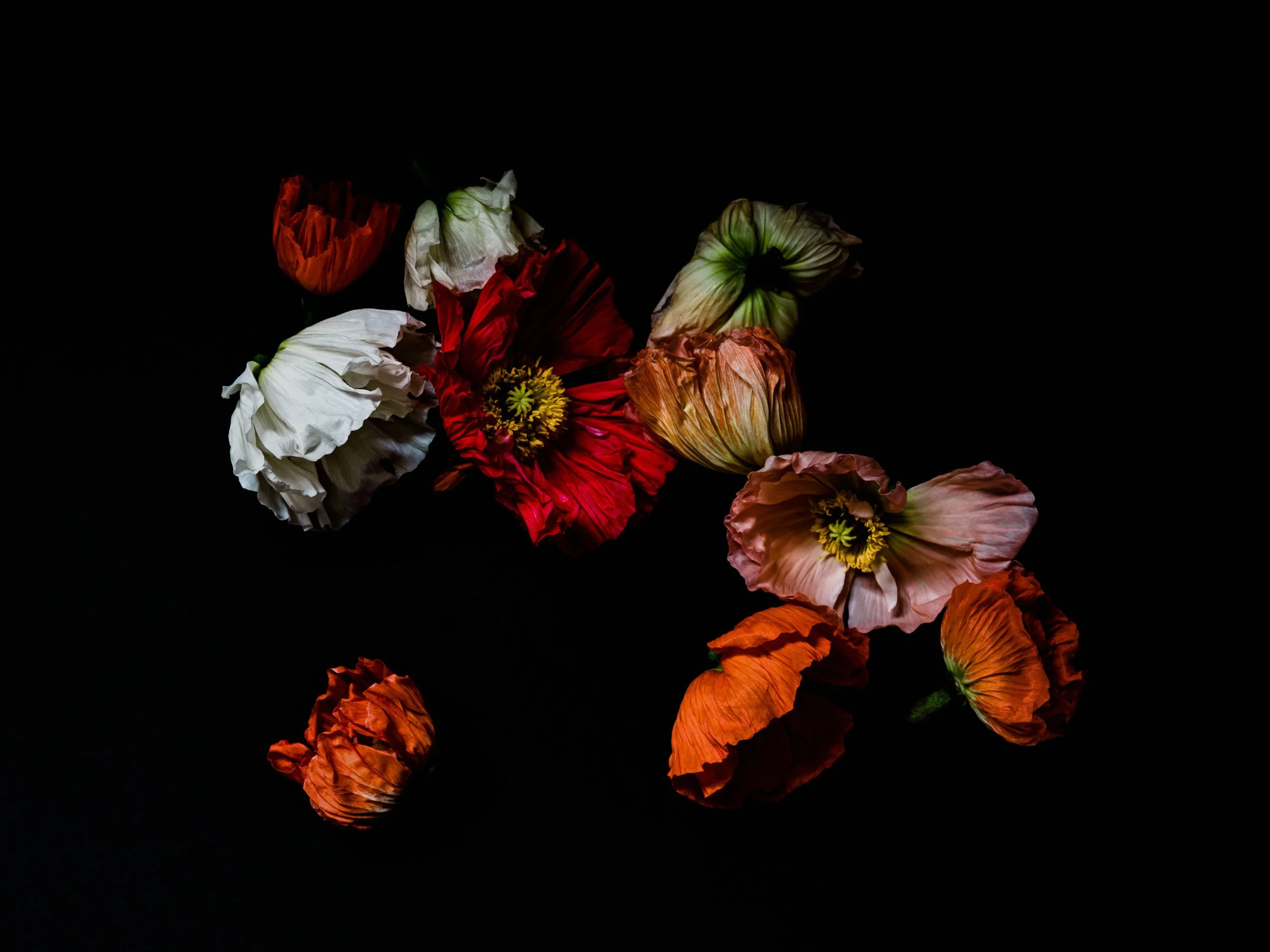 Disembodied Vestige, Archival Pigment Print, 41" x 31"