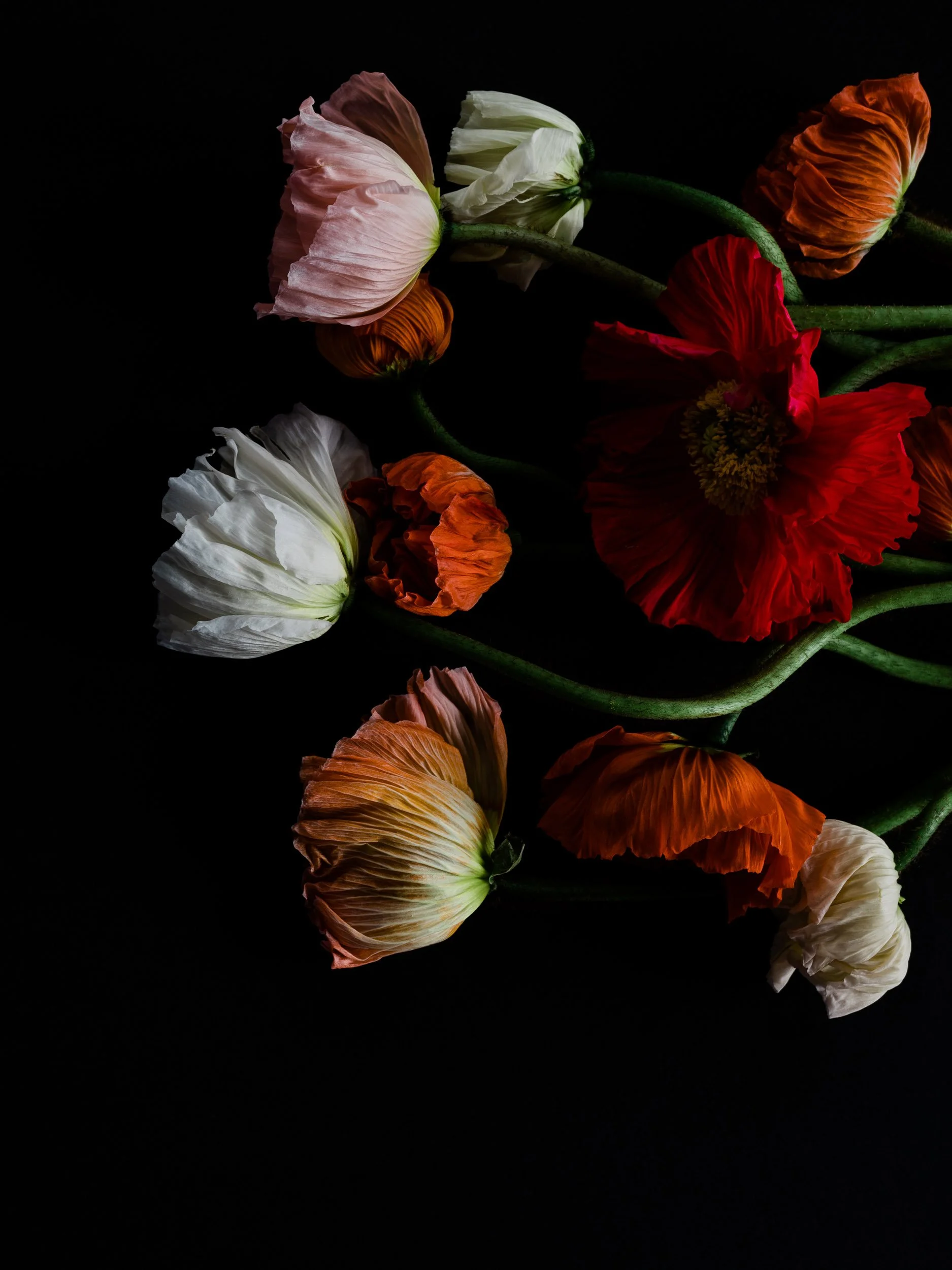 Next Bold Move l, Archival Pigment Print, 28" x 37"