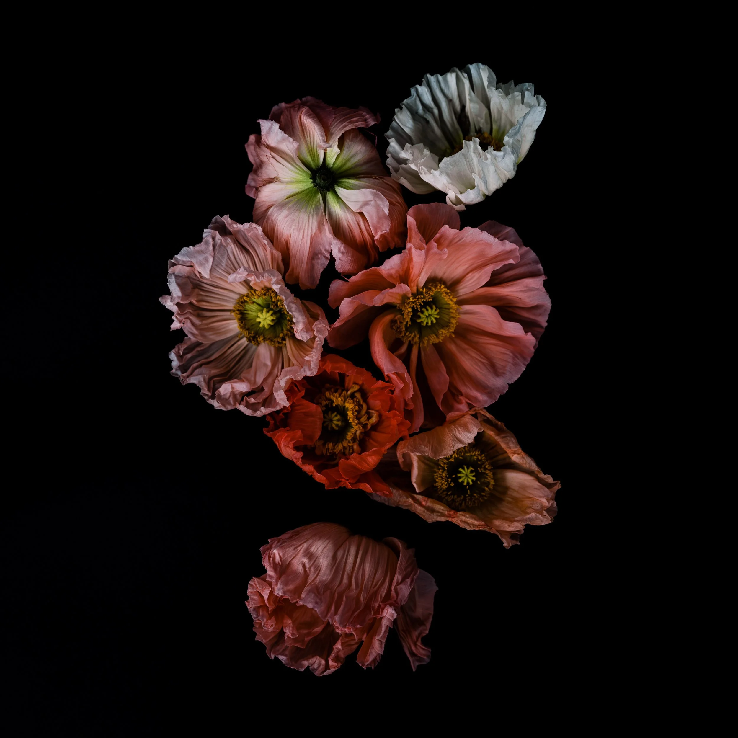 Eyes Wide Open, Archival Pigment Print, 19" x 19"