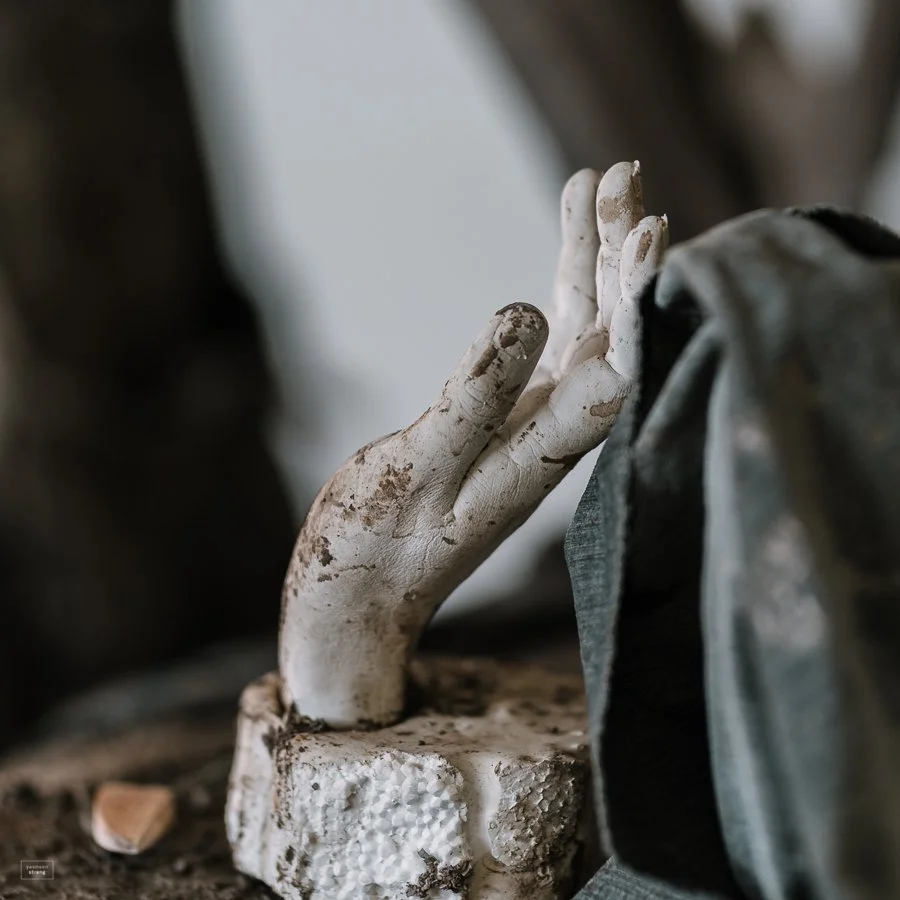 20180212-David Robinson-1-2.jpg