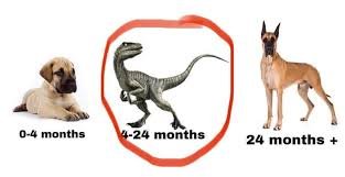 The T-Rex has appeared