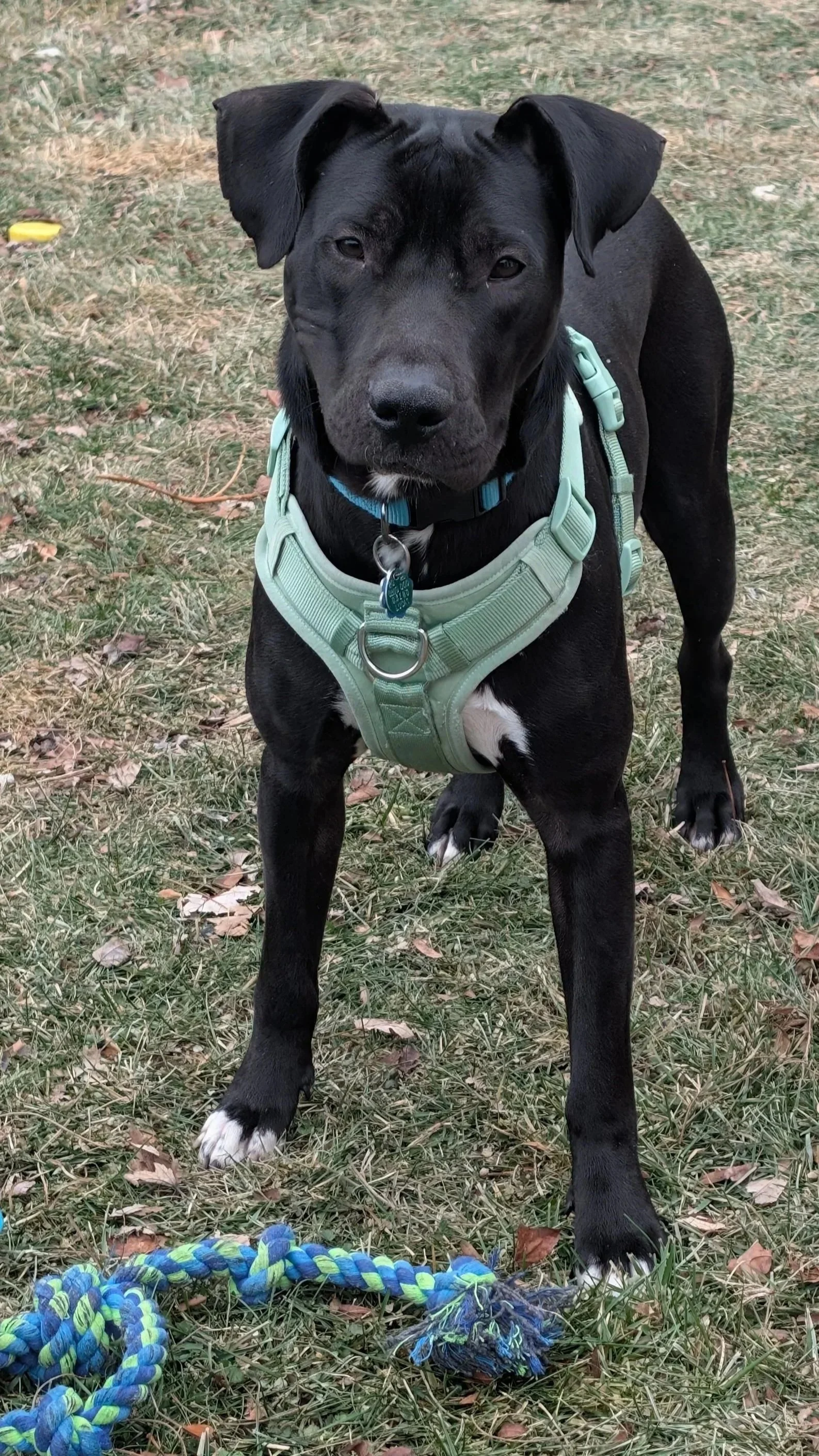 And he’s off again!