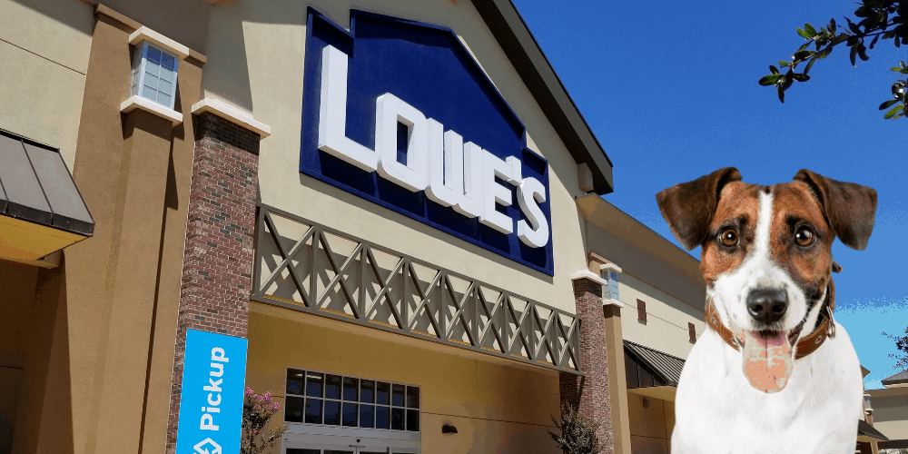 The Lowes experience