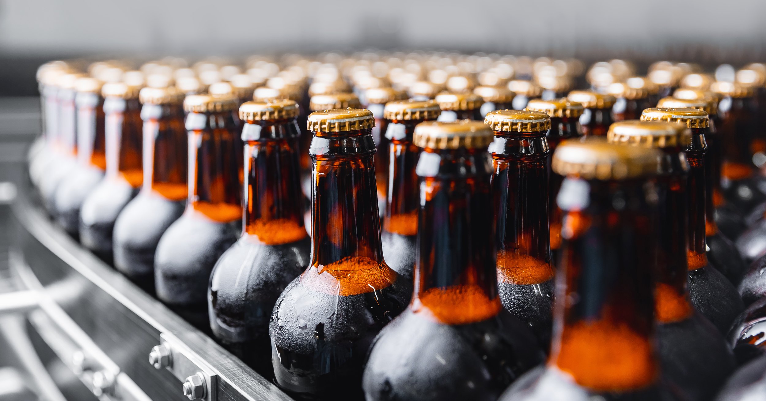 Multiple brown glass beer bottles with golden caps on conveyor in a brewery.