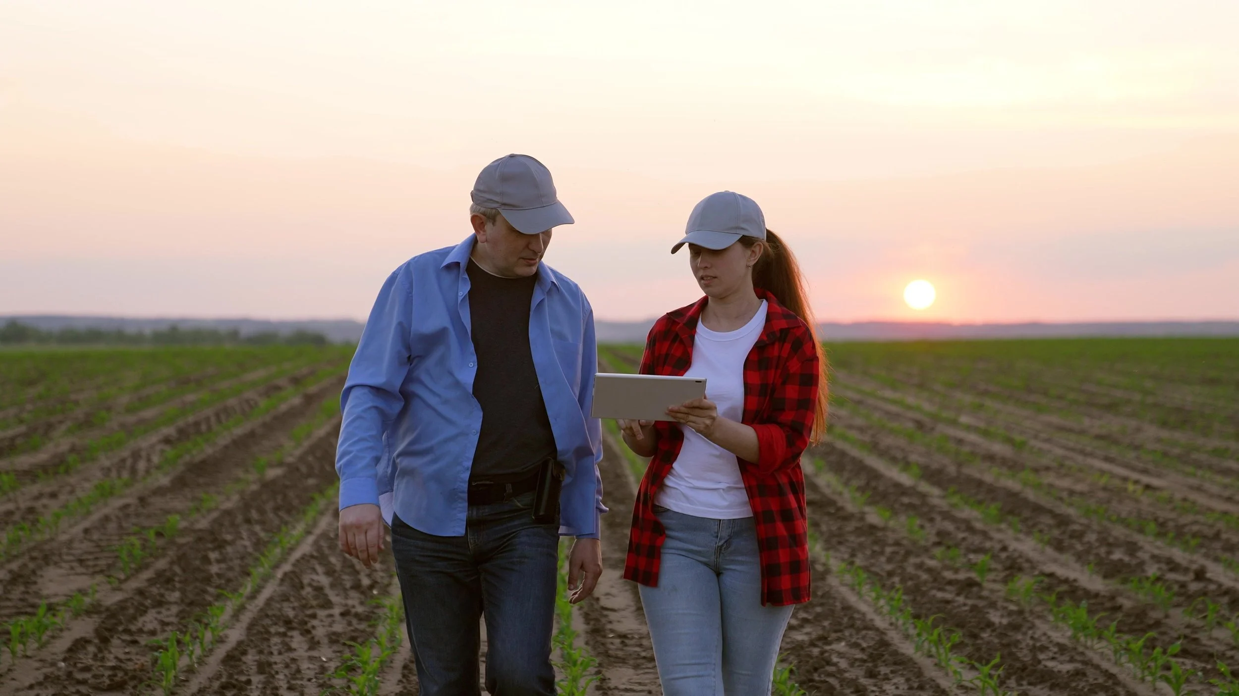 Two farmers, a man and a woman, walking in a farm field at sunset, looking at a tablet.