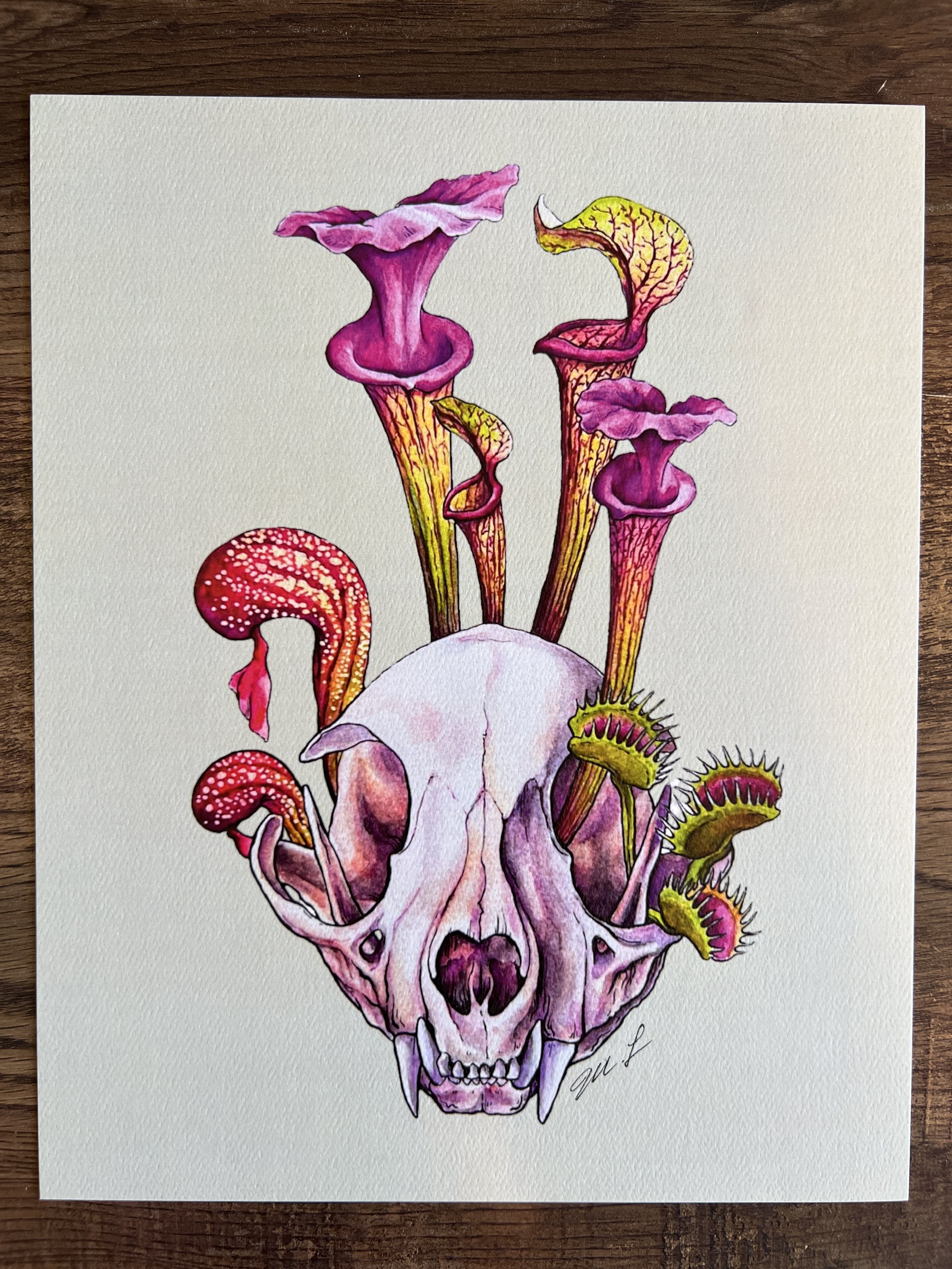 Cat Skull with Pitcher Plants Print