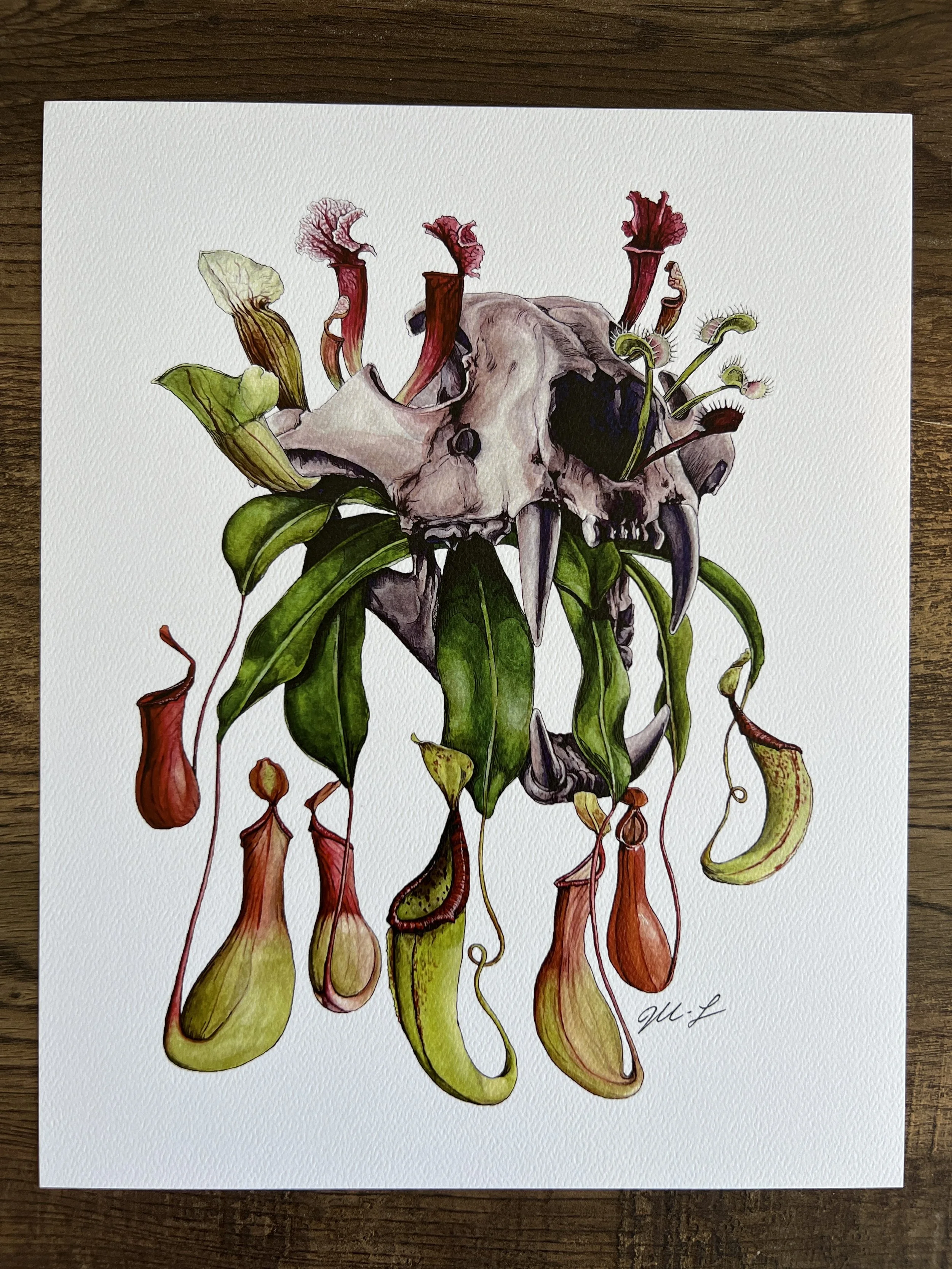 Carnivorous Print