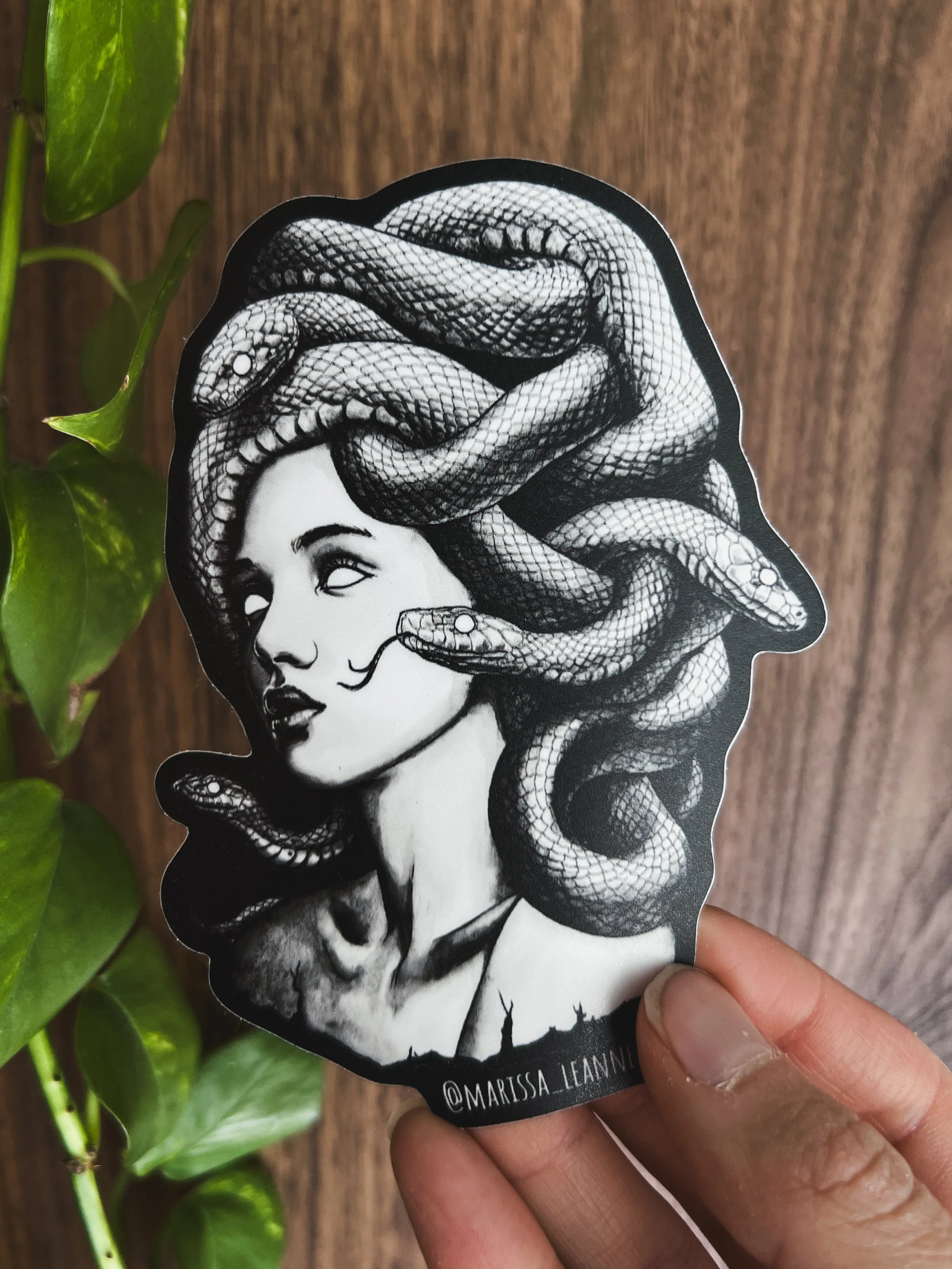 Medusa 4" Vinyl Sticker