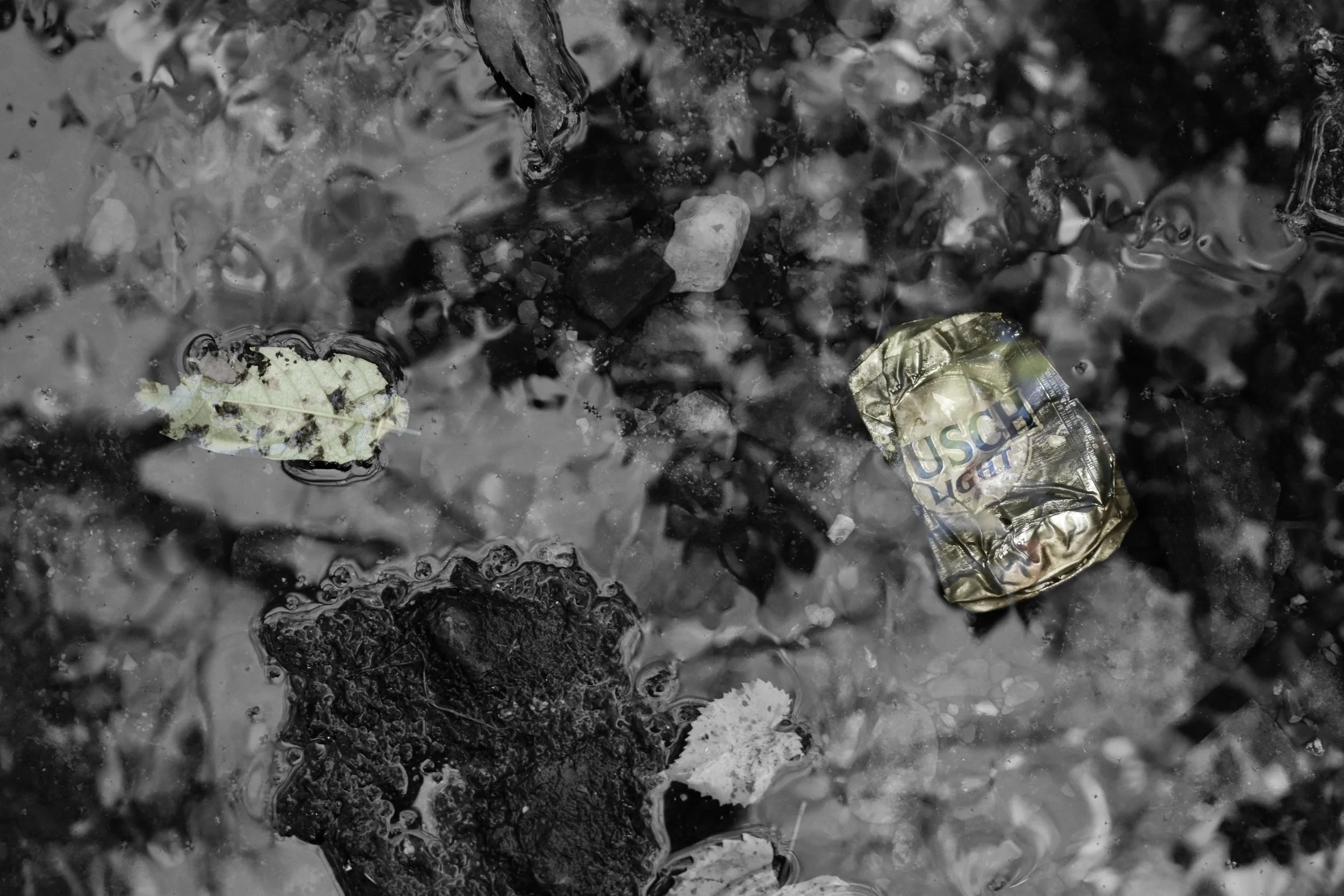 DSC_5640.jpg