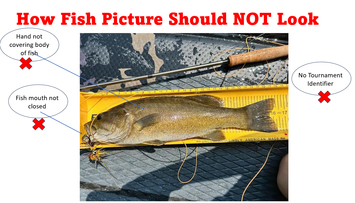 A large fish lying on a yellow measuring board next to a fishing rod with a lure in its mouth, with red text and red X marks indicating how fish pictures should not look.