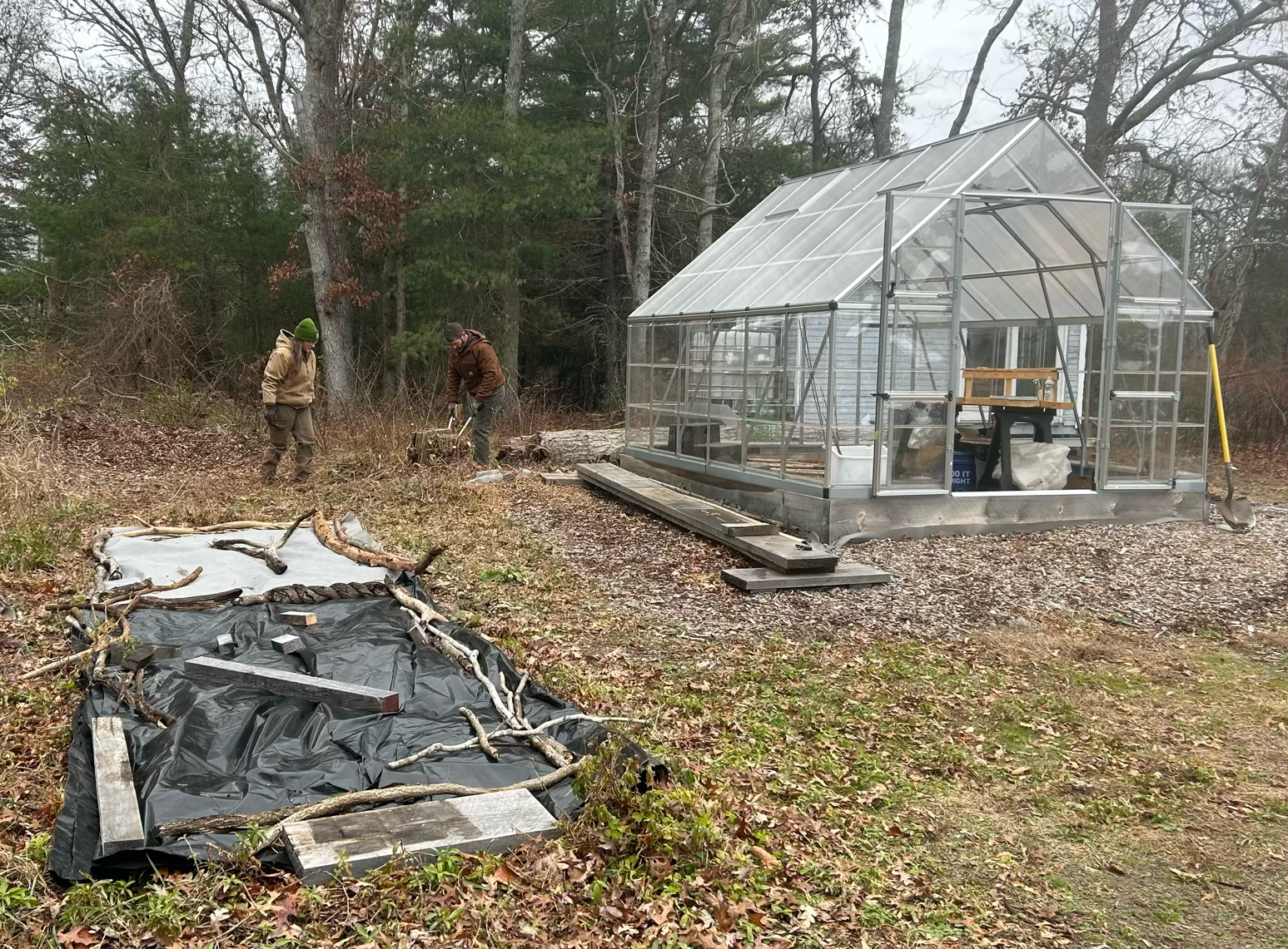 Cultivating Wildflowers