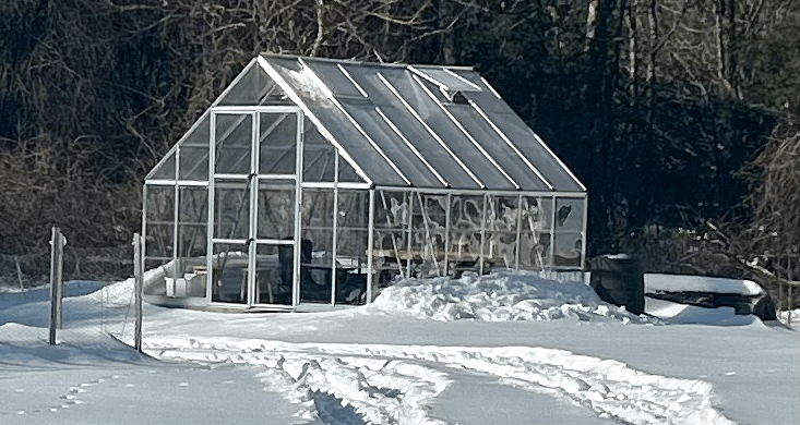 Snow Edged Greenhouse 