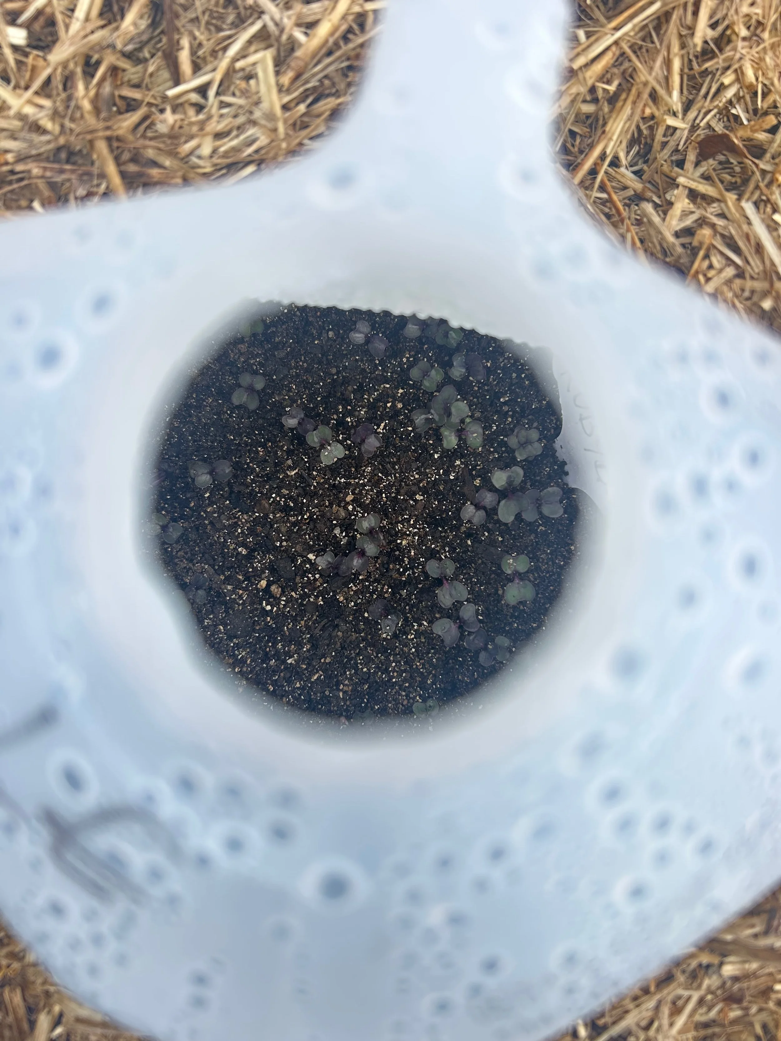 jugogkale4.7.jpg (1).jpeg