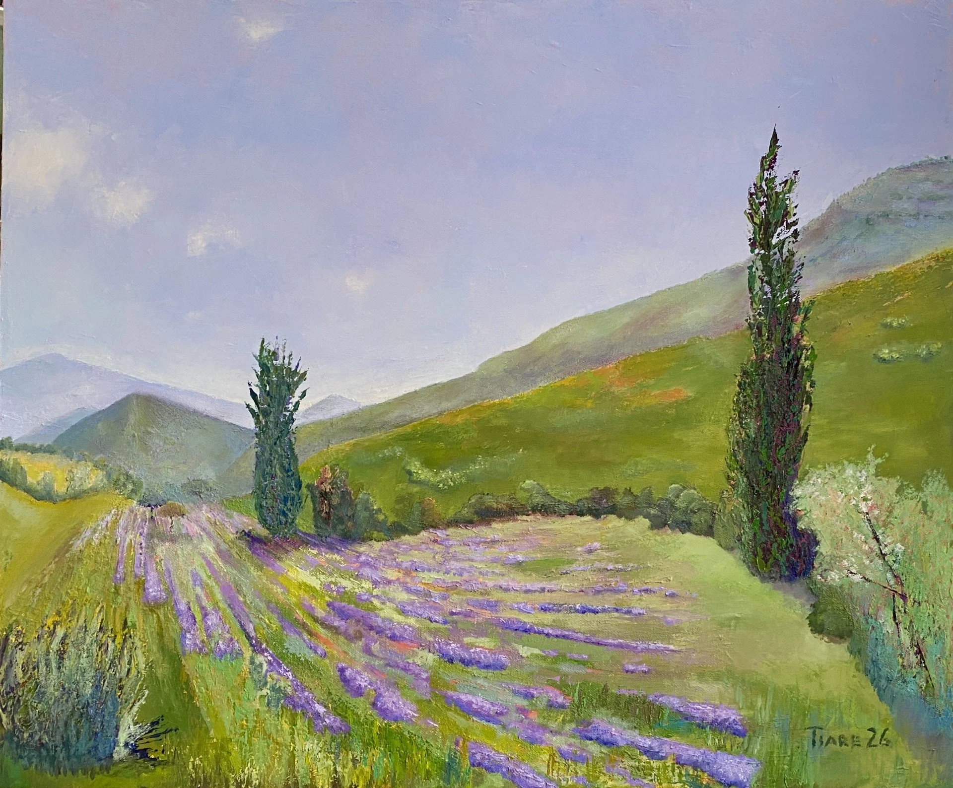 Le Champ de Lavande Oublie -  
oil on stretched canvas
