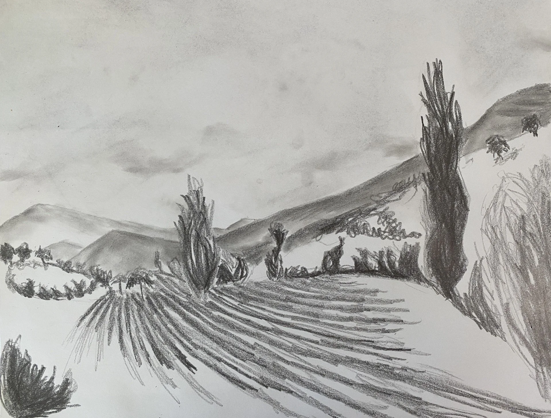Value study sketch for Le Champ de Lavande Oublie