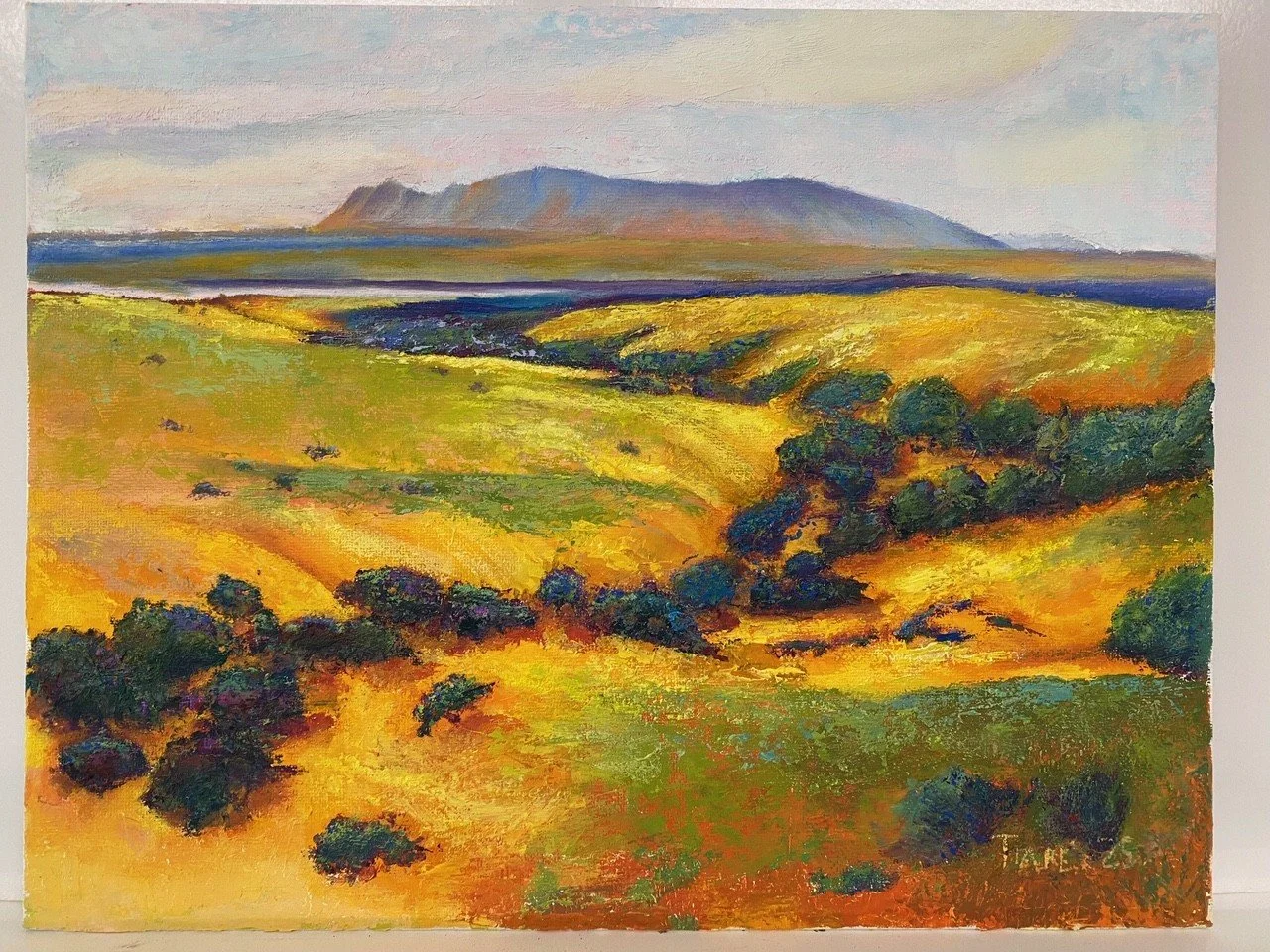 Arizona Arroyo in Spring - 
oil on board