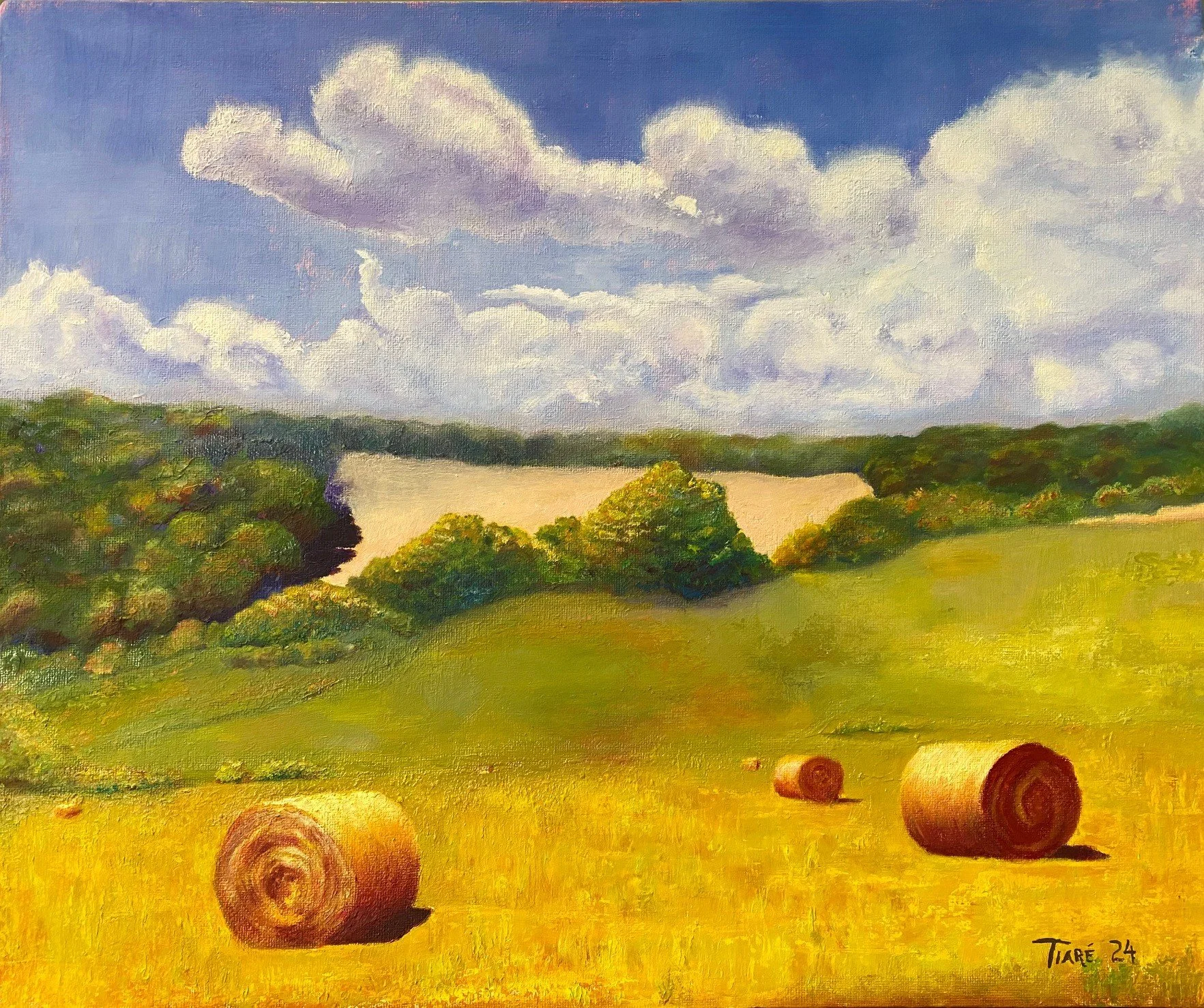Hay Rolls in Late Morning Light, Gascony - 
oil on stretched canvas