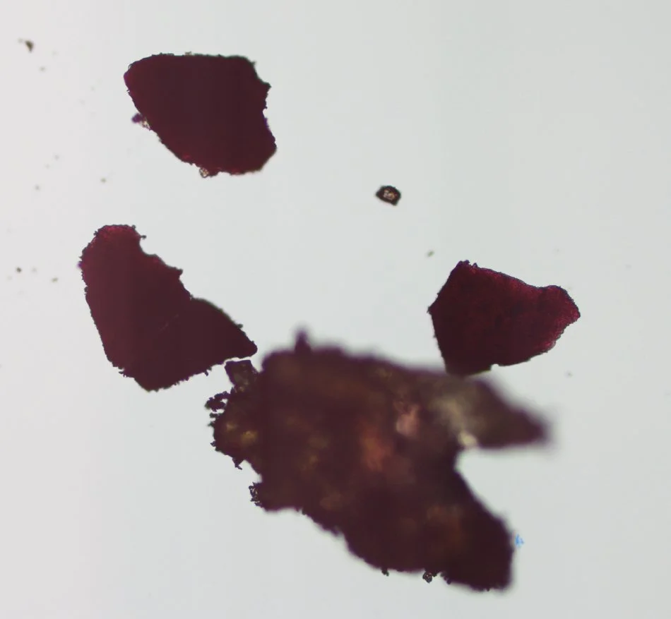 Pulverized dark red and brown biological or mineral-organic material prepared for analytical examination.