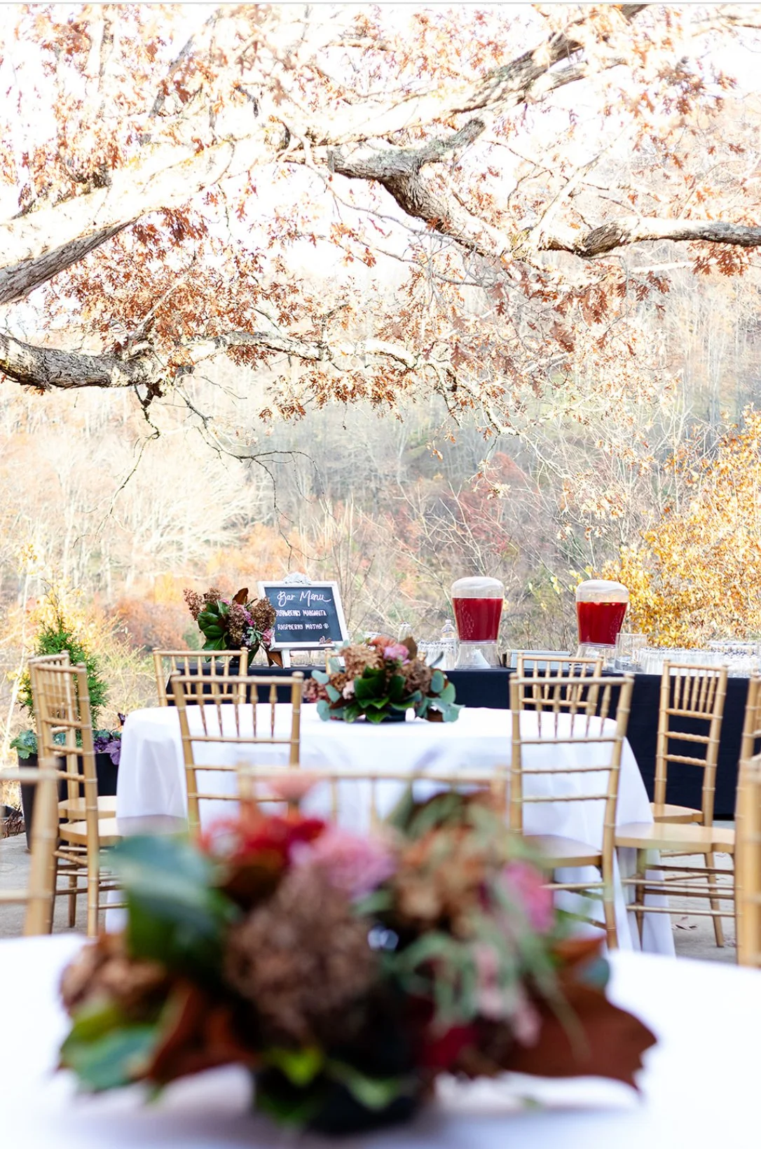 An outdoor event setup with round tables, gold chairs, floral centerpieces, and beverage dispensers, set against a backdrop of fall foliage and a large tree with orange leaves.
