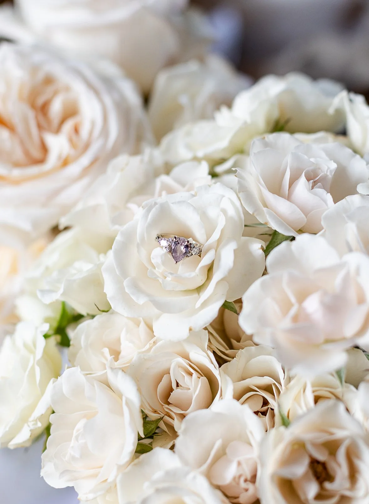A collection of white and pale pink roses with an engagement ring resting inside a white rose in the center.