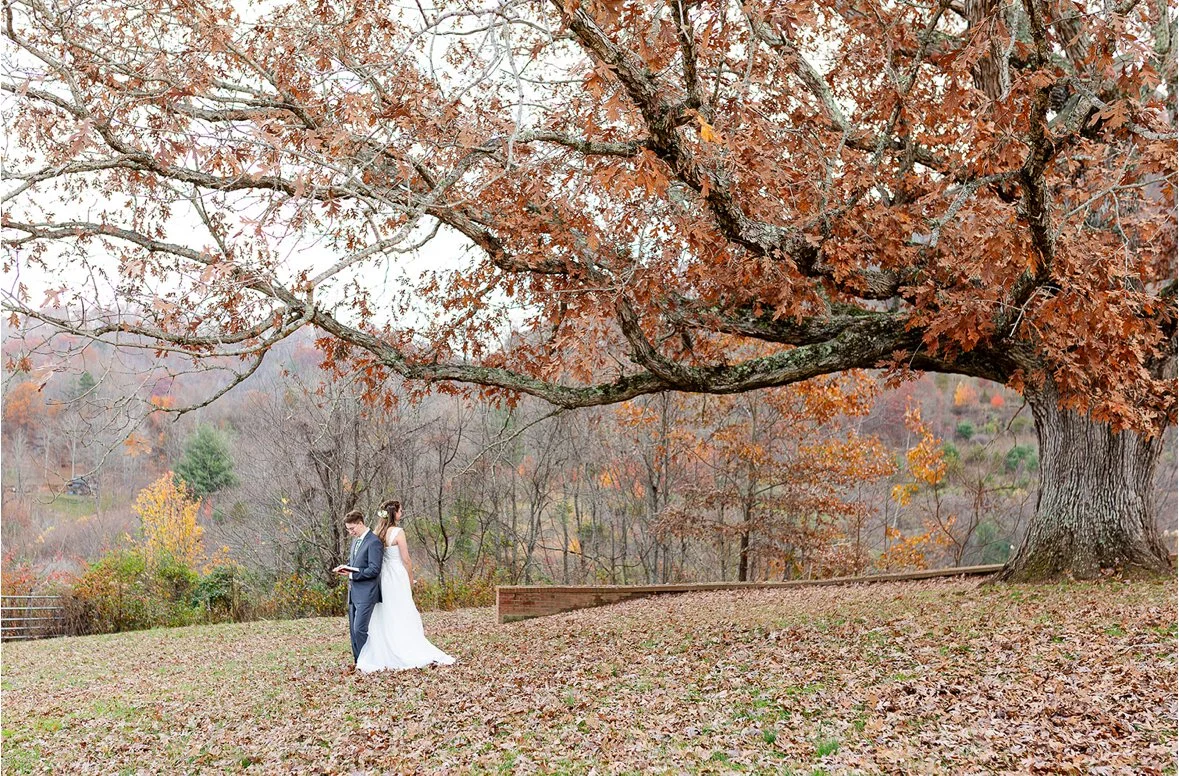 A wedding couple standing under a large autumn tree with orange leaves, on a grassy area covered in fallen leaves, in a scenic outdoor setting.