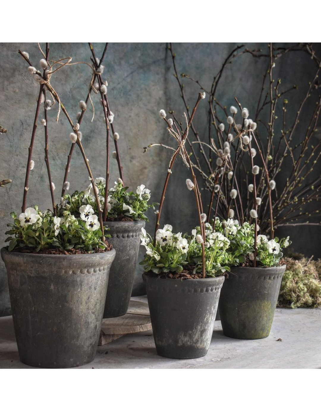Winter Plants and Potted Arrangements