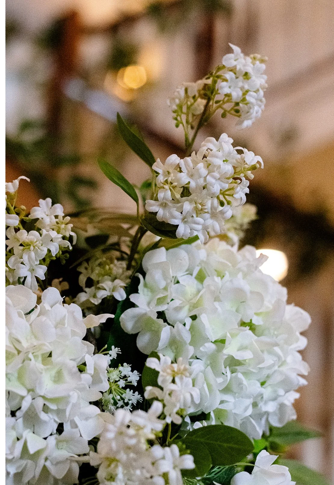 Close-up of white flowers with green leaves against a blurred background.