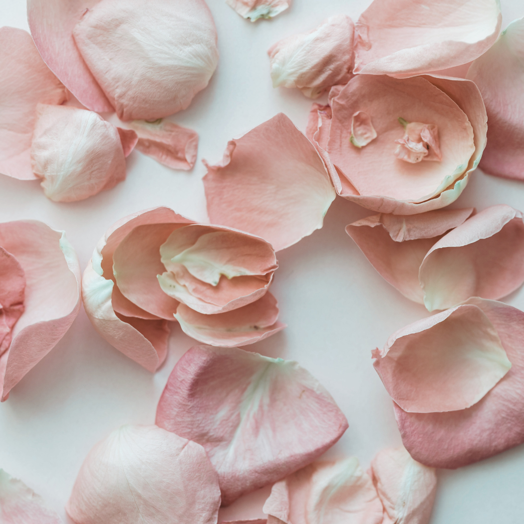 Valentines day Pink rose petals scattered on a light surface.