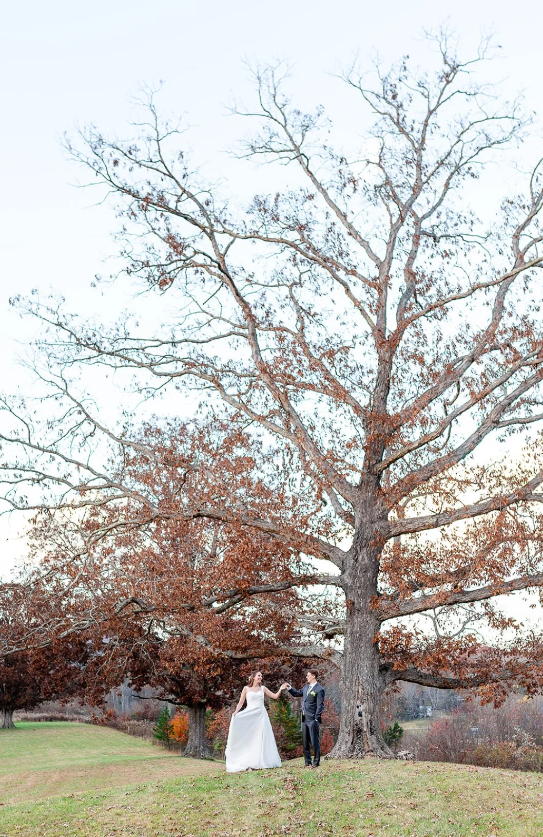 Bride and groom holding hands under a large, leafless tree with red and brown leaves, outdoors during fall.