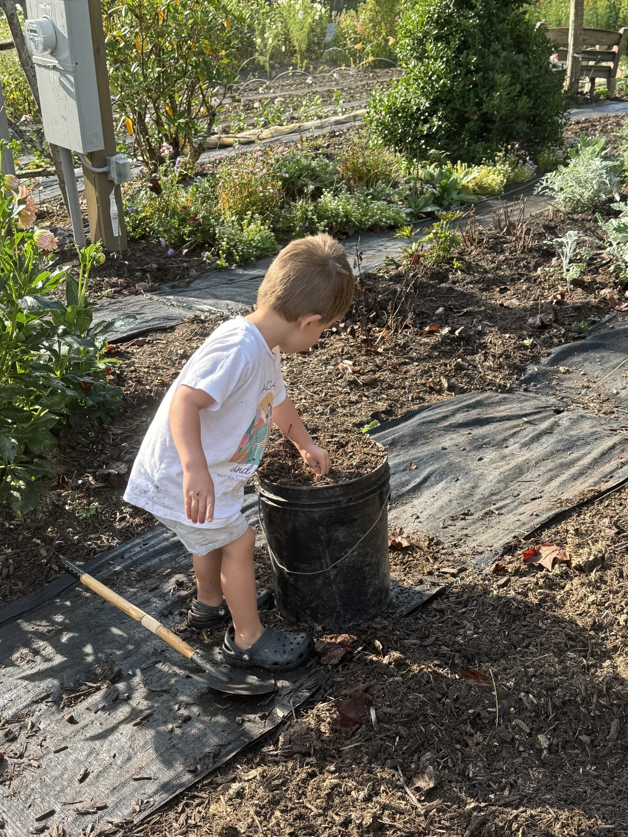 A young boy wearing a white t-shirt, shorts, and black Crocs, planting or tending to soil in a garden with gardening tools nearby, surrounded by various plants and flowers.