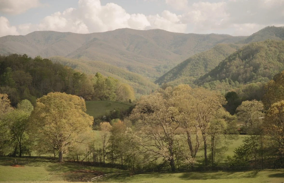 A scenic landscape of rolling green mountains with trees in the foreground and a partly cloudy sky overhead.