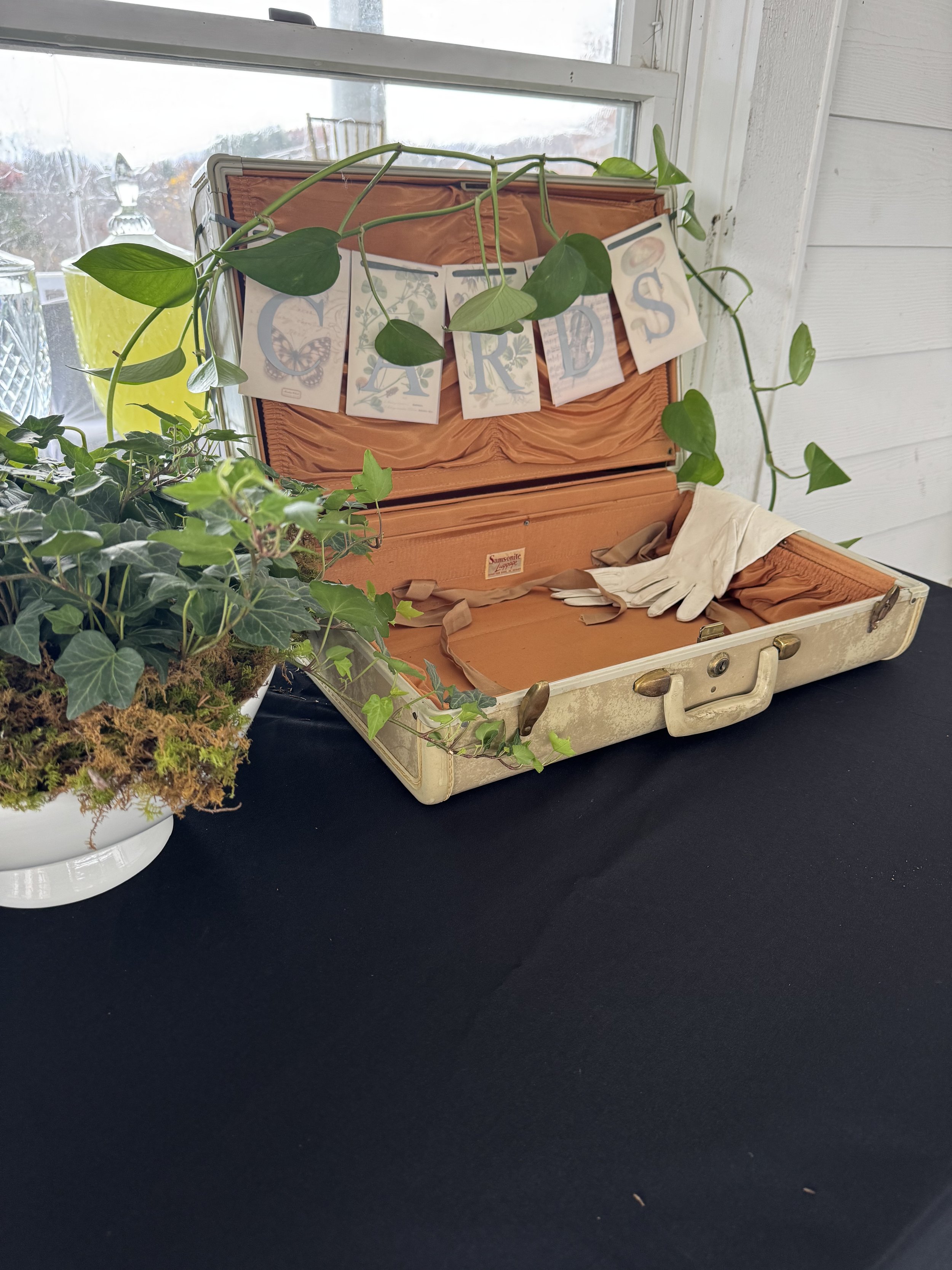 An open vintage suitcase on a black table with a pair of white gloves inside. Above the suitcase, a garland spells out 'CARDS' and drapes over a window. To the left, a potted plant with green leaves and ivy.