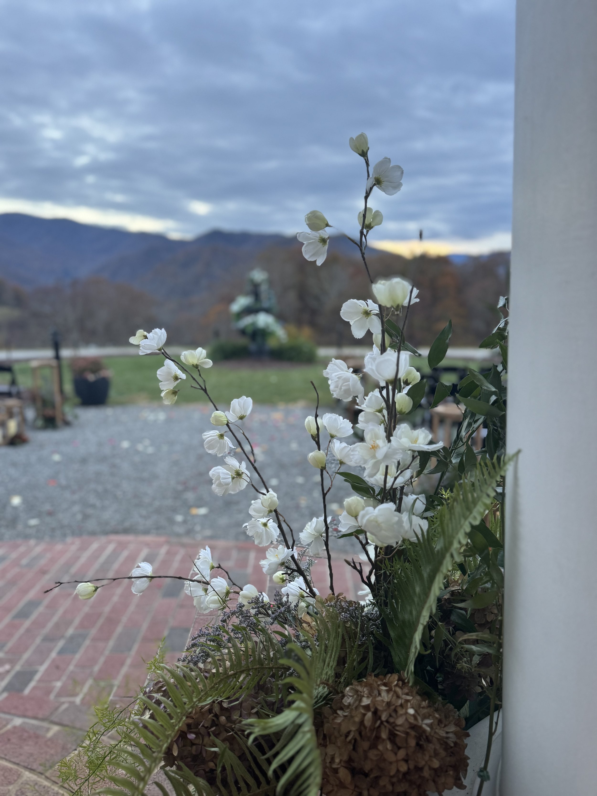White flowers blooming in a flowerpot outside with a mountain landscape and cloudy sky in the background.