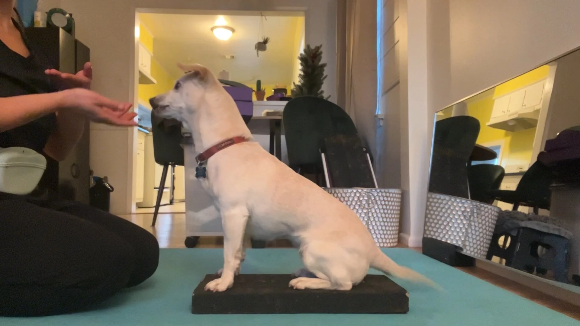 Sit with Proper Form